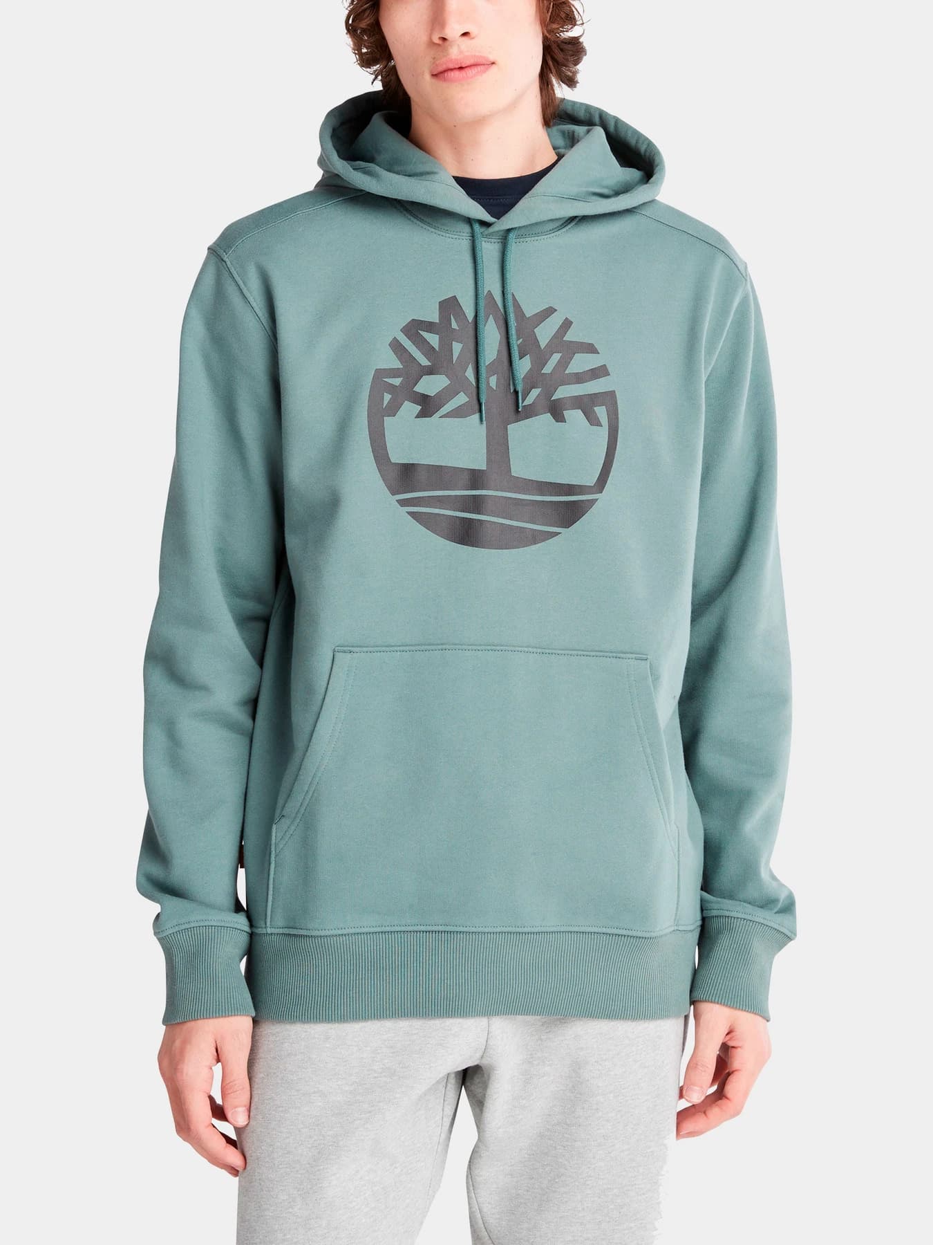 Худи и свитшоты Timberland модель A2BJHDA9
