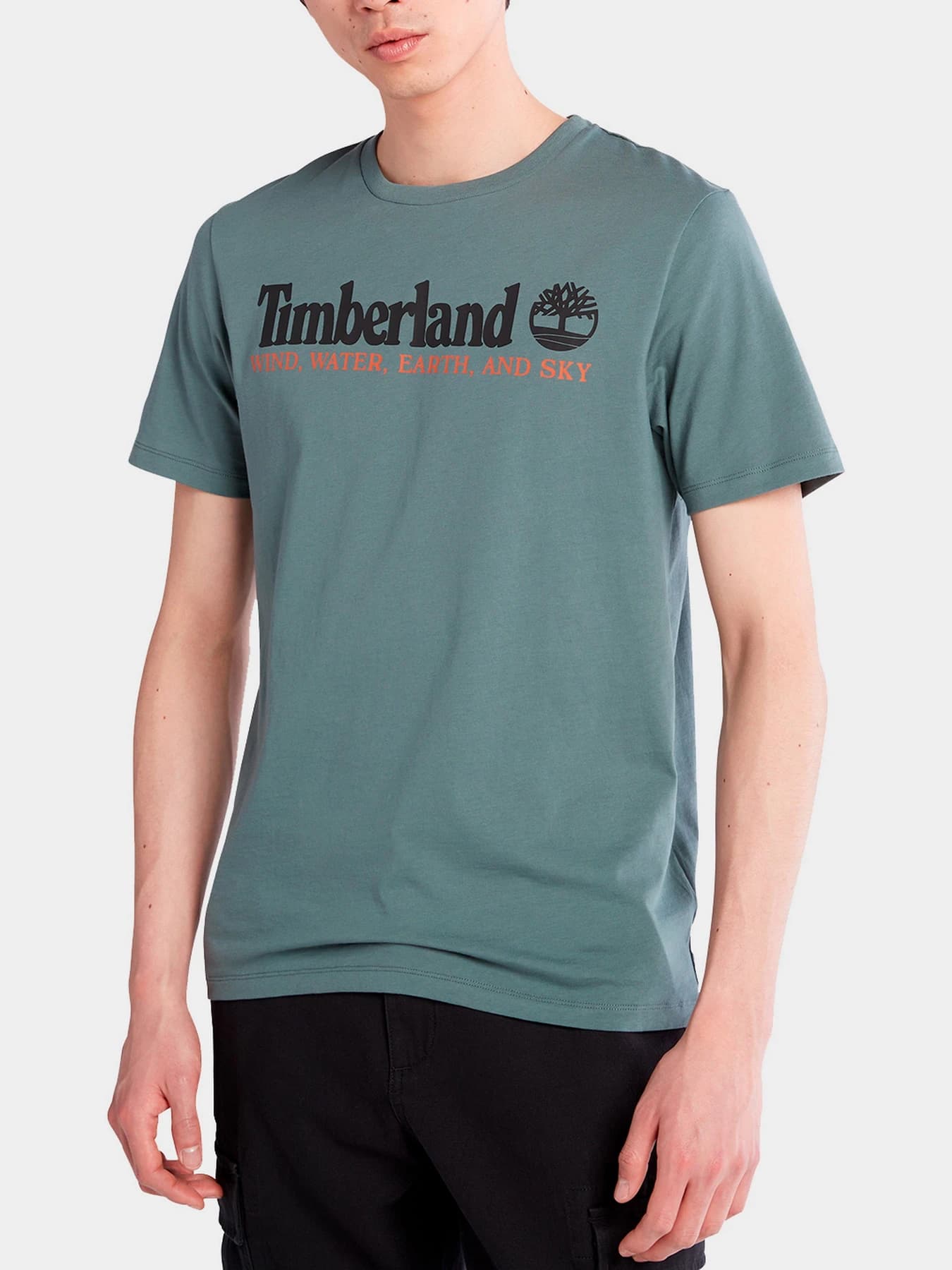 Футболки и поло Timberland модель A27J8392