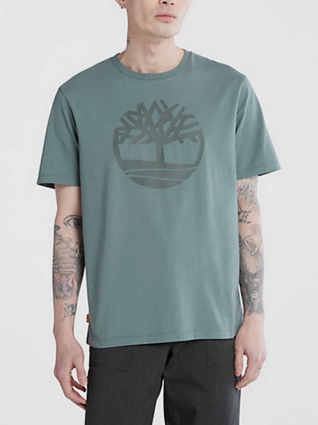 Футболки и поло Timberland модель A2C2R392