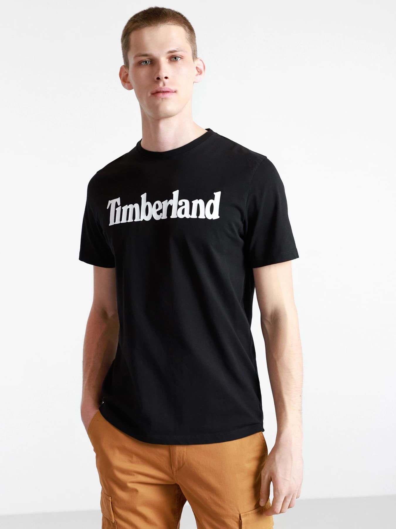 Футболки и поло Timberland модель TB0A2C31001