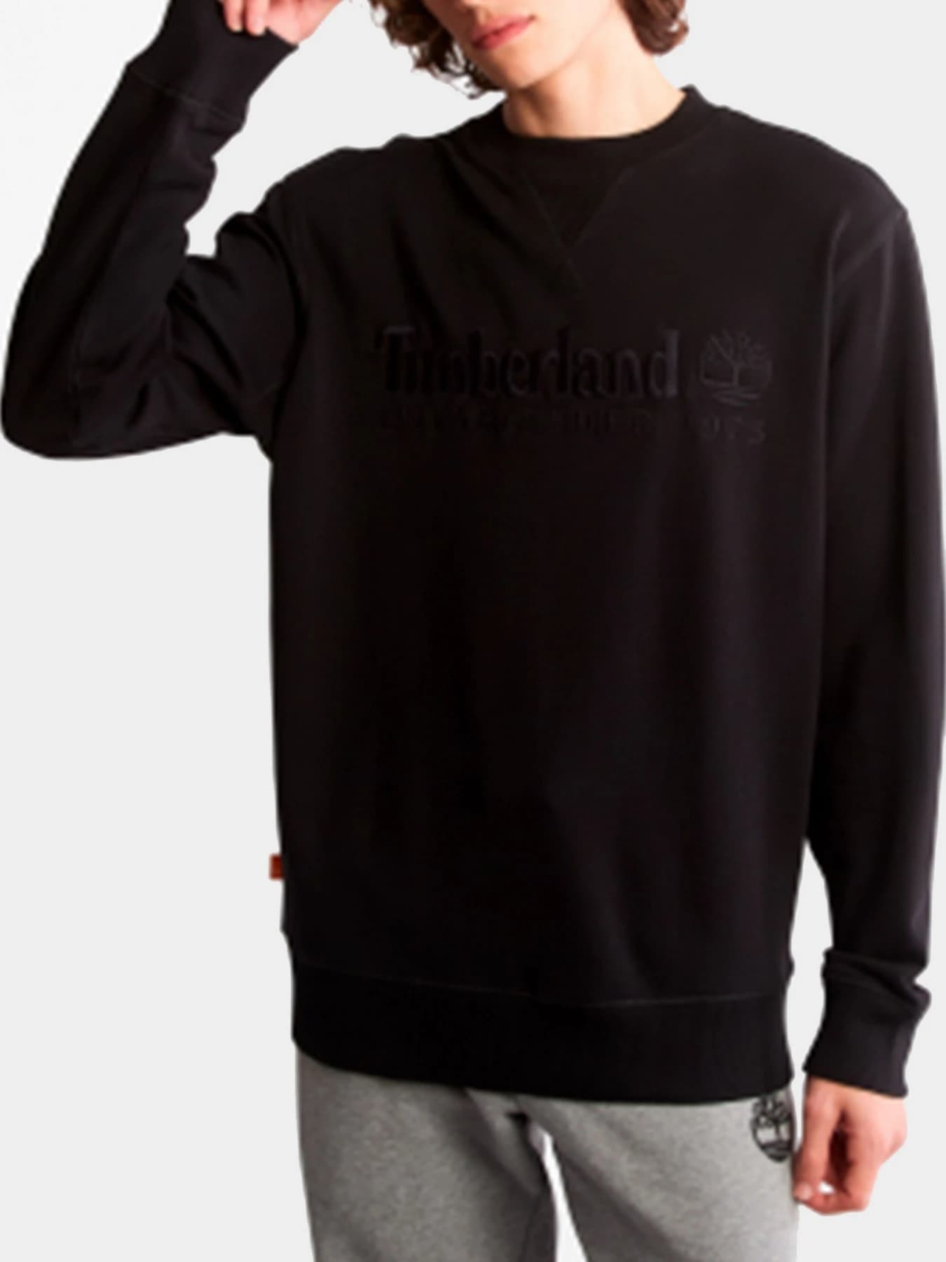 Худи и свитшоты Timberland модель TB0A2FEQ001