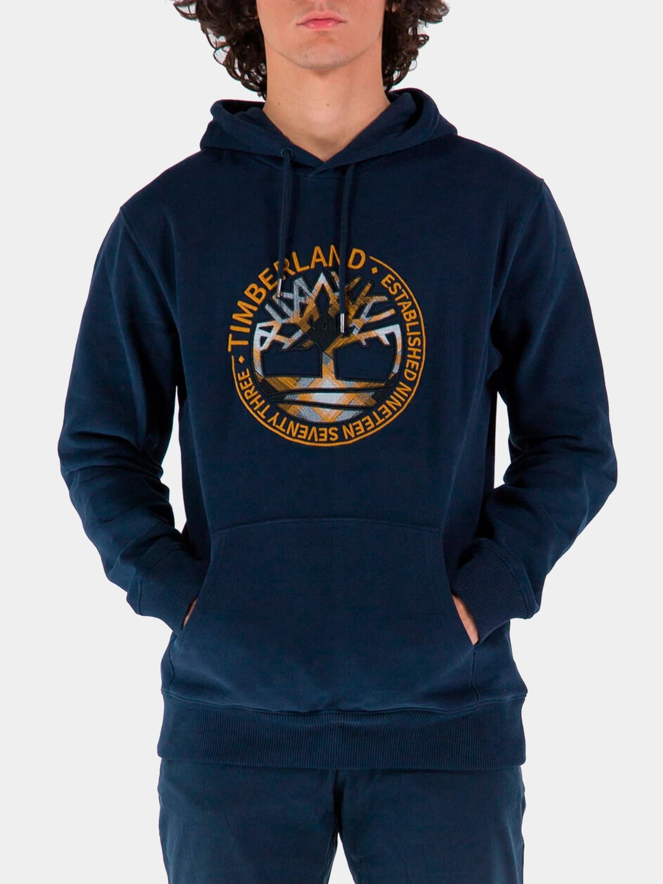 Худи и свитшоты Timberland модель TB0A5Y4N433