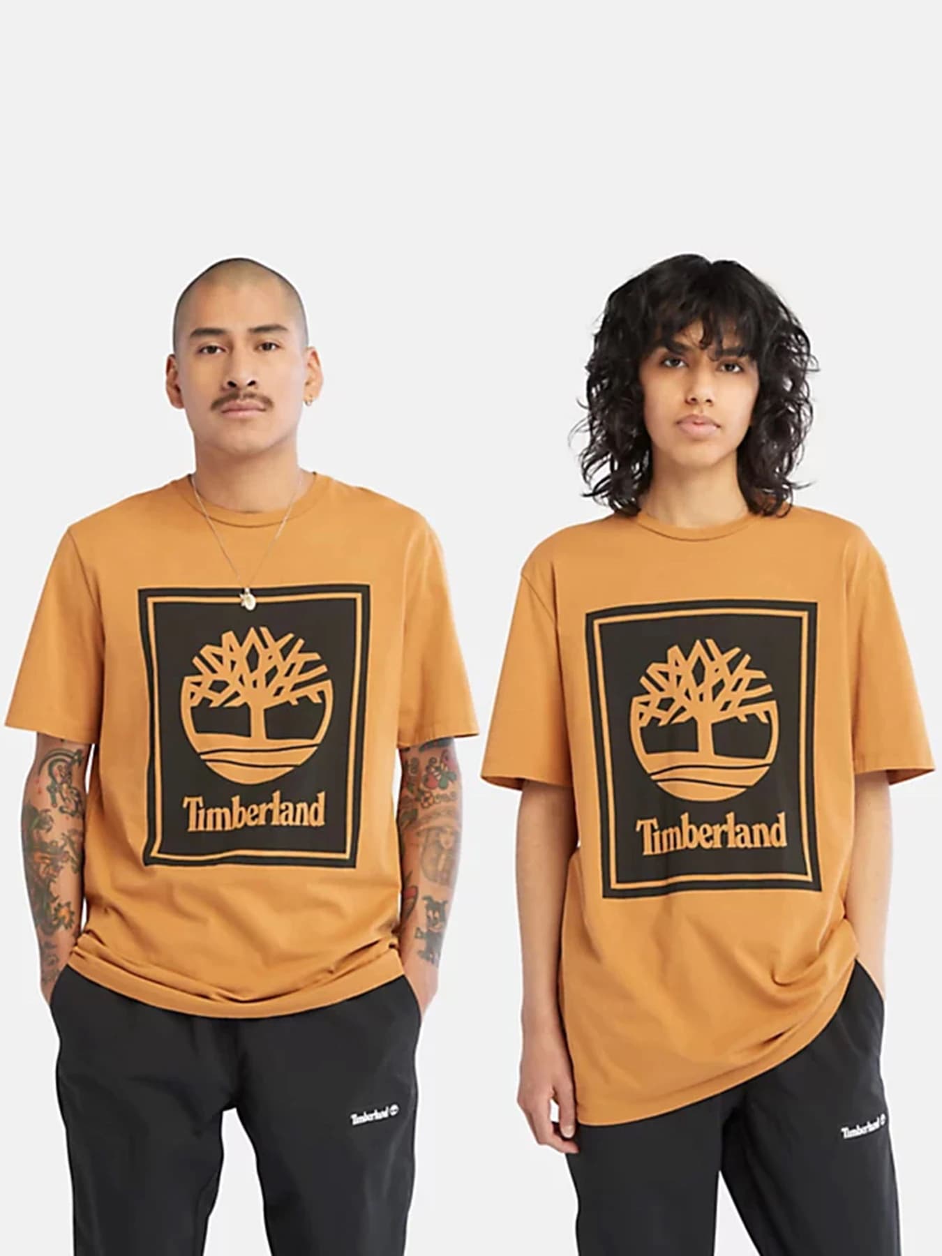 Футболки и поло Timberland модель TB0A6CBTP57