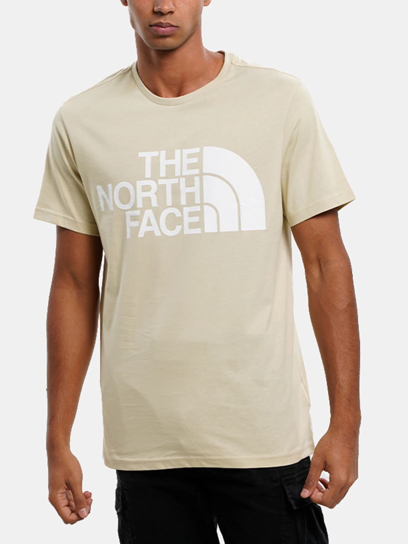 Футболки и поло The North Face модель NF0A4M7X3X41