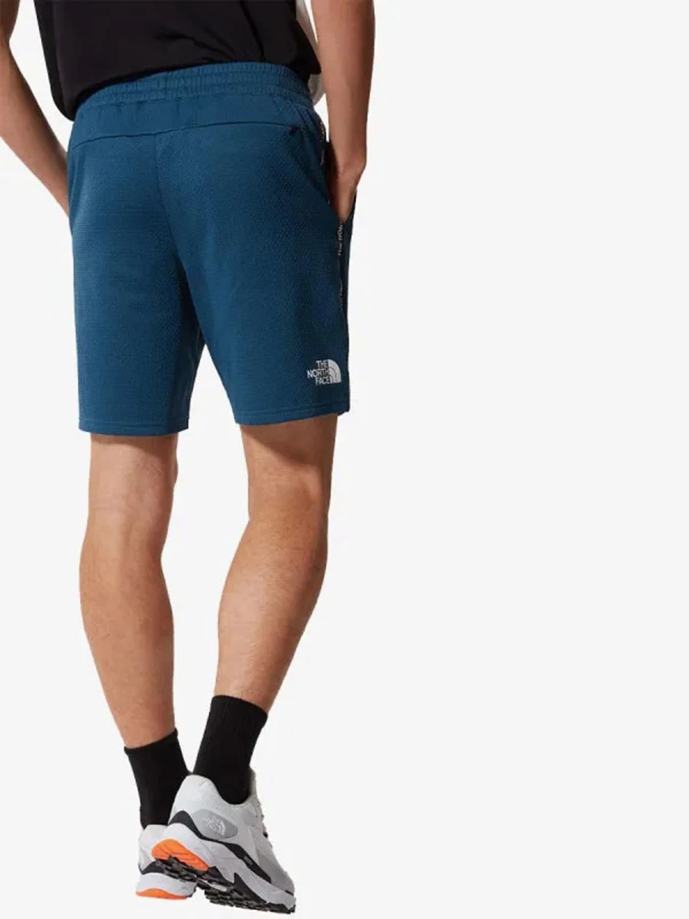 Шорты The North Face модель NF0A5579BH71