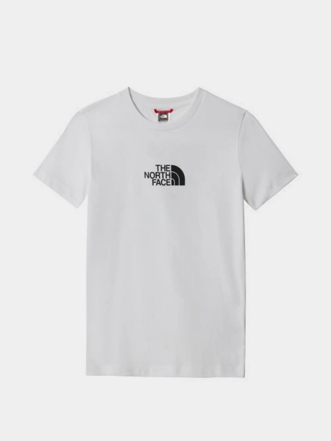 Футболки и поло The North Face модель NF0A5591LA91
