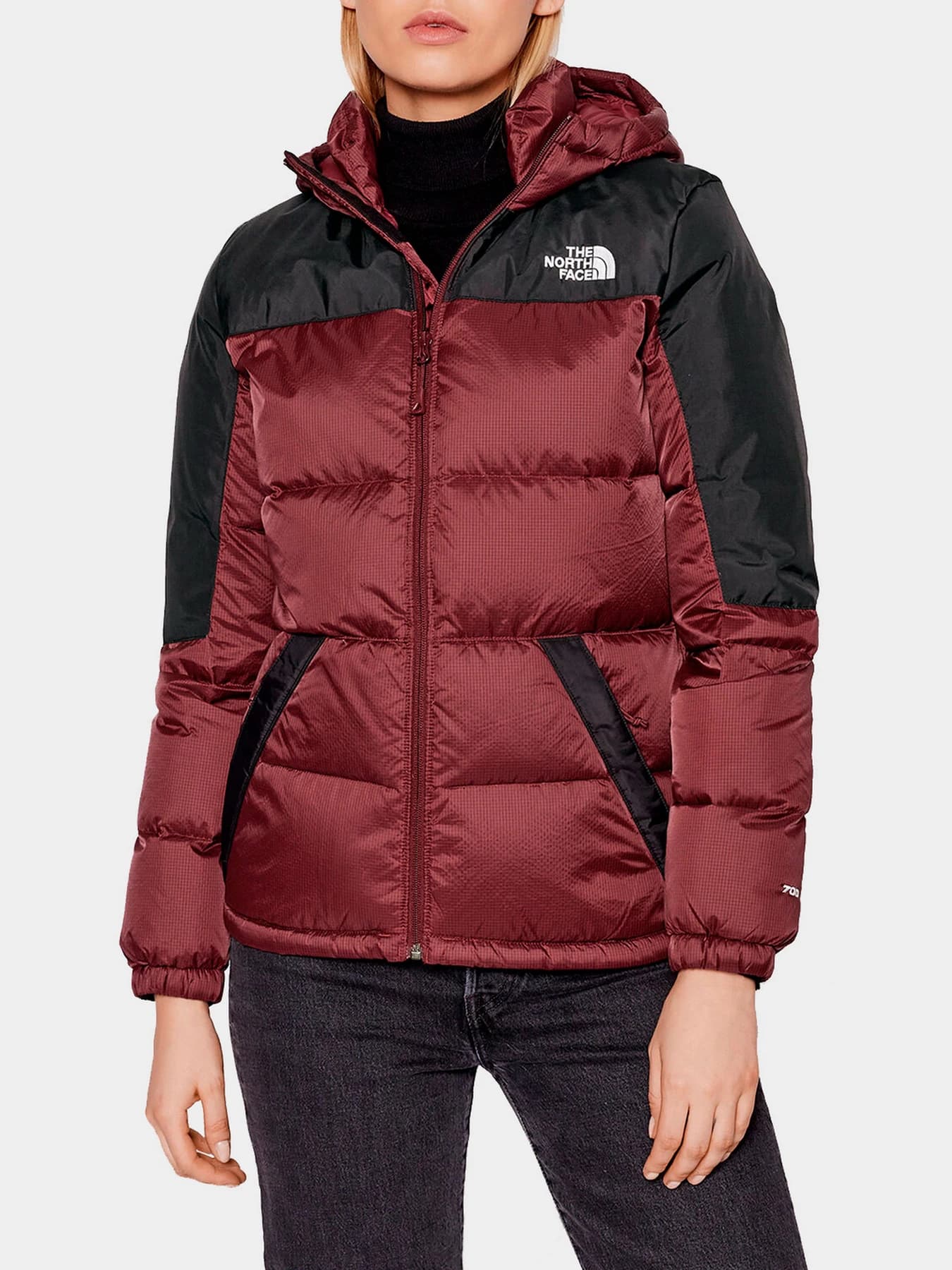 Куртки и дубленки The North Face модель NF0A55H419S1