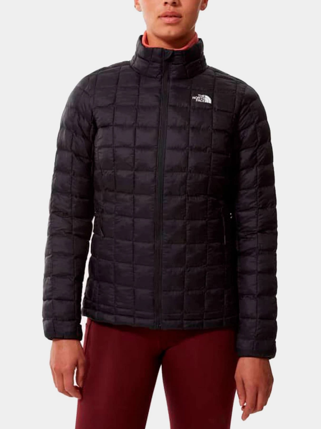 Куртки и дубленки The North Face модель NF0A5GLDJK31