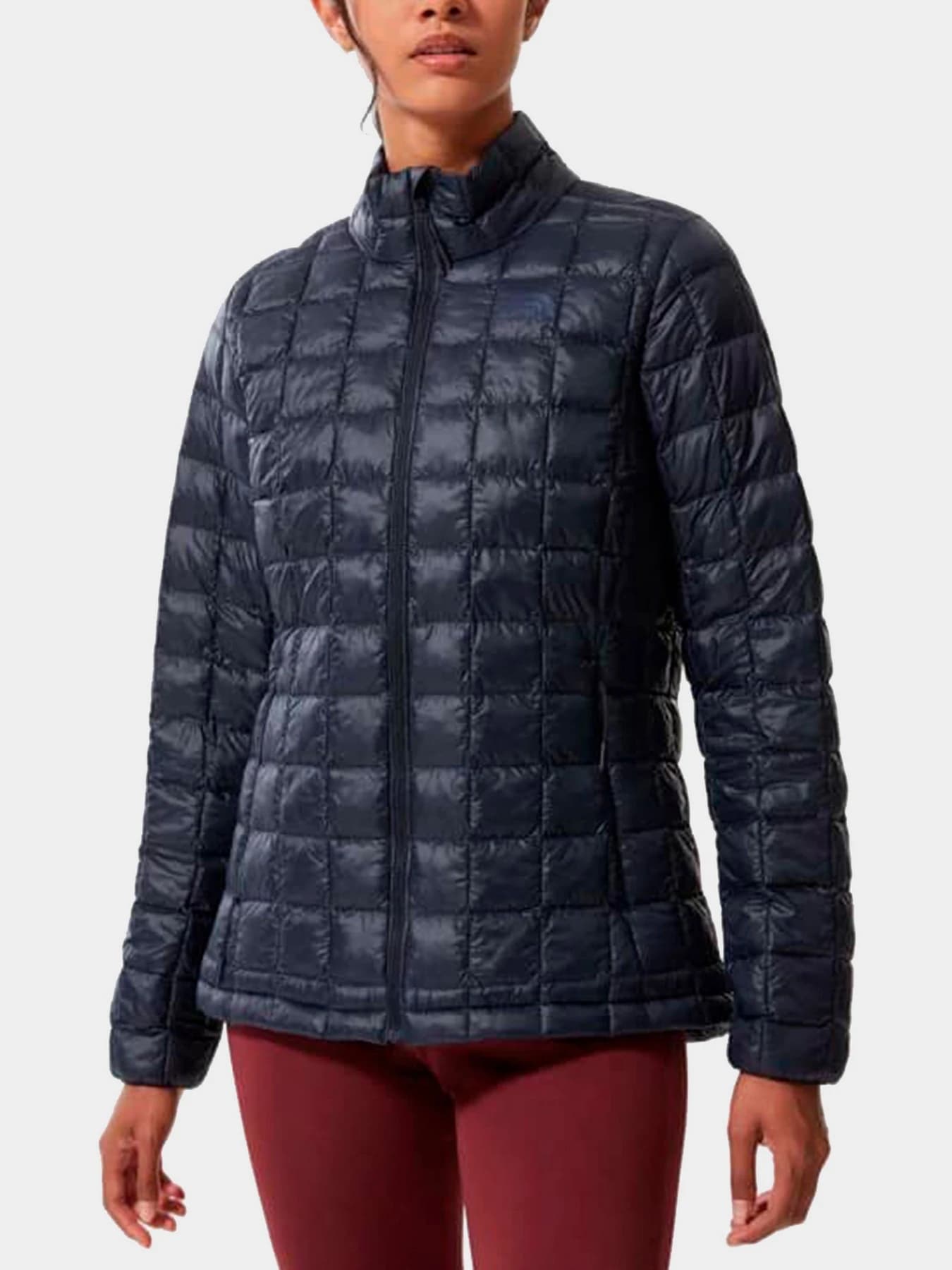 Куртки и дубленки The North Face модель NF0A5GLDRG11