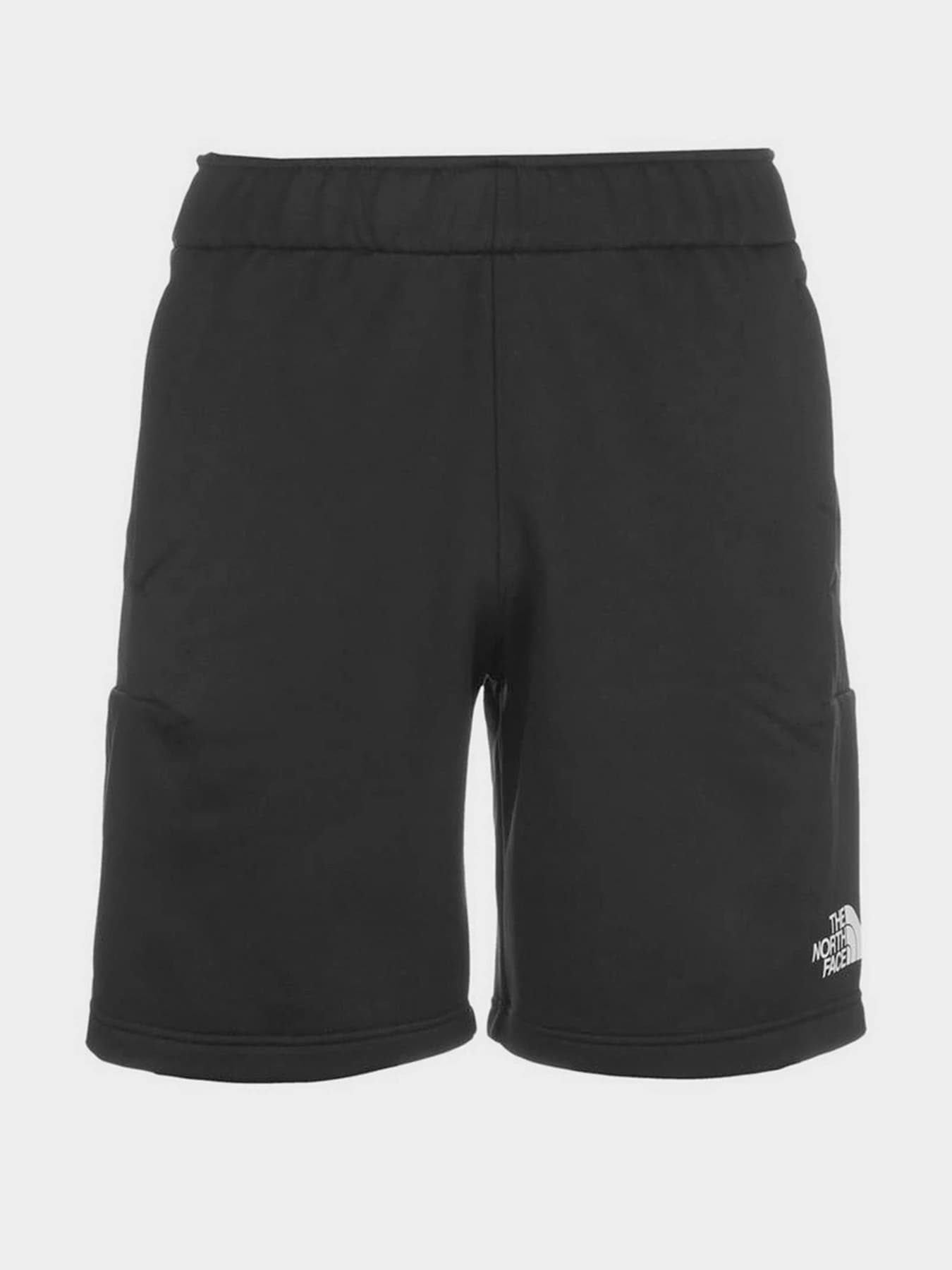 Шорты The North Face модель NF0A5IEXKX71