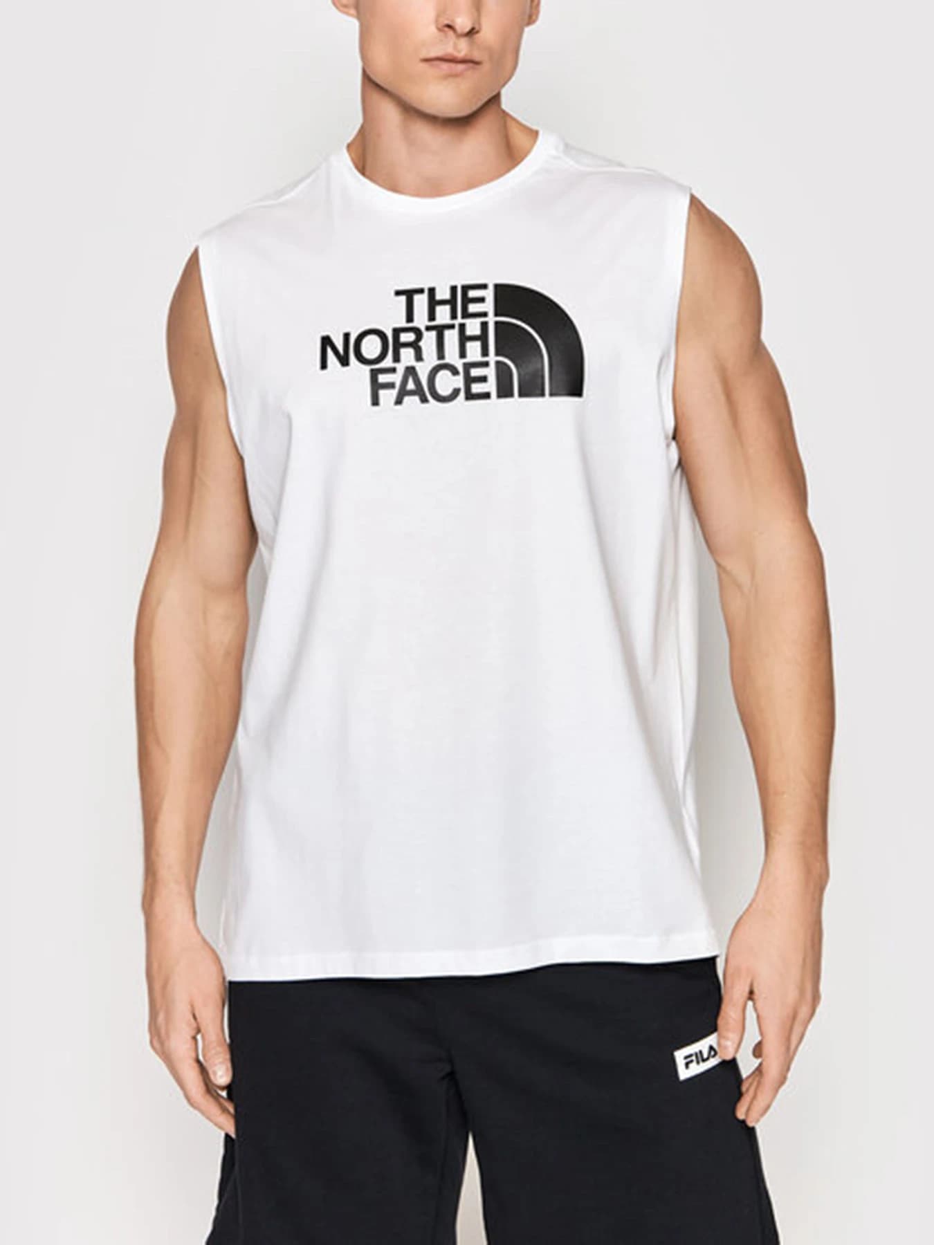 Футболки и поло The North Face модель NF0A5IGYI391