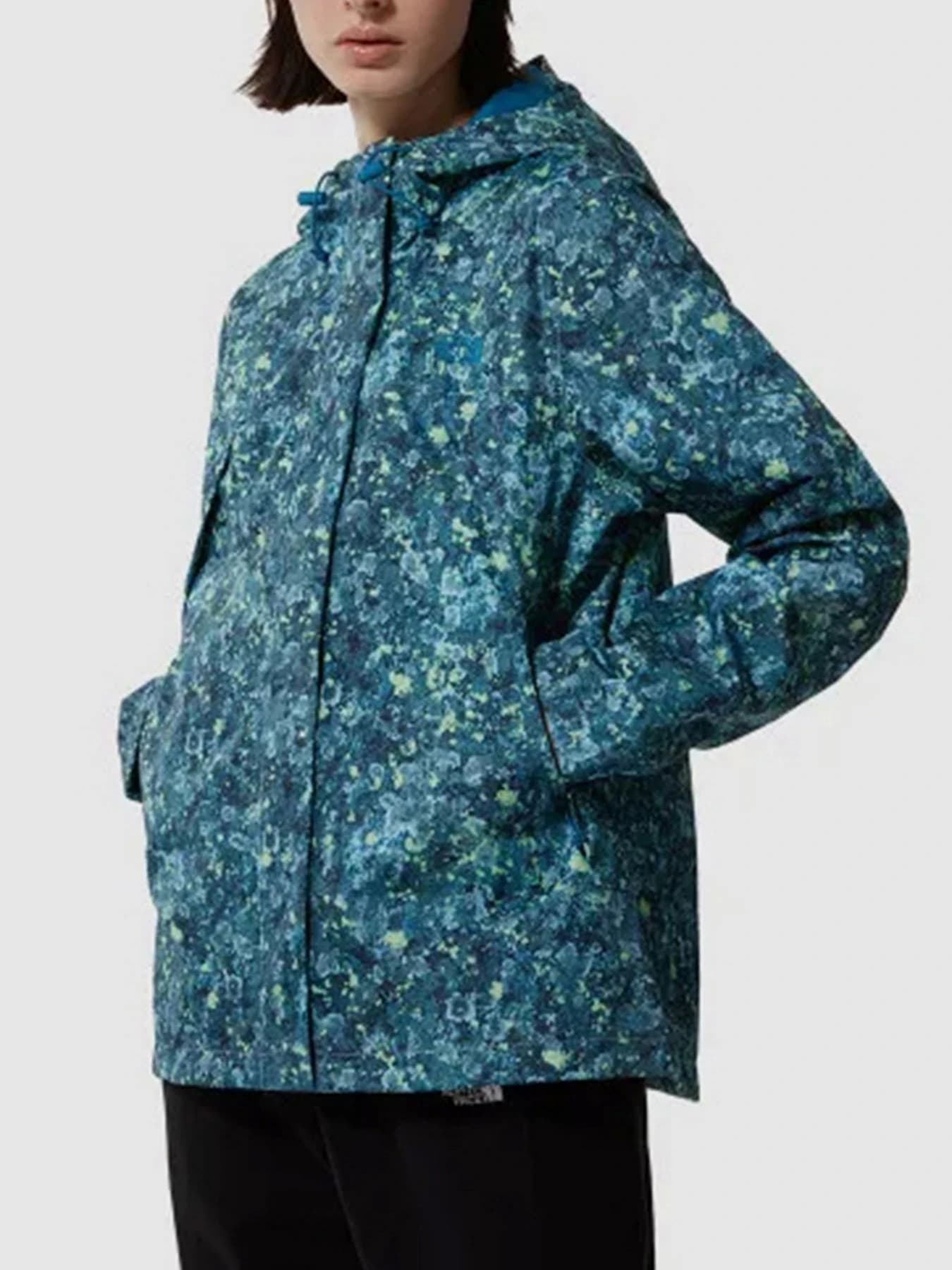 Куртки и дубленки The North Face модель NF0A7QEV5401