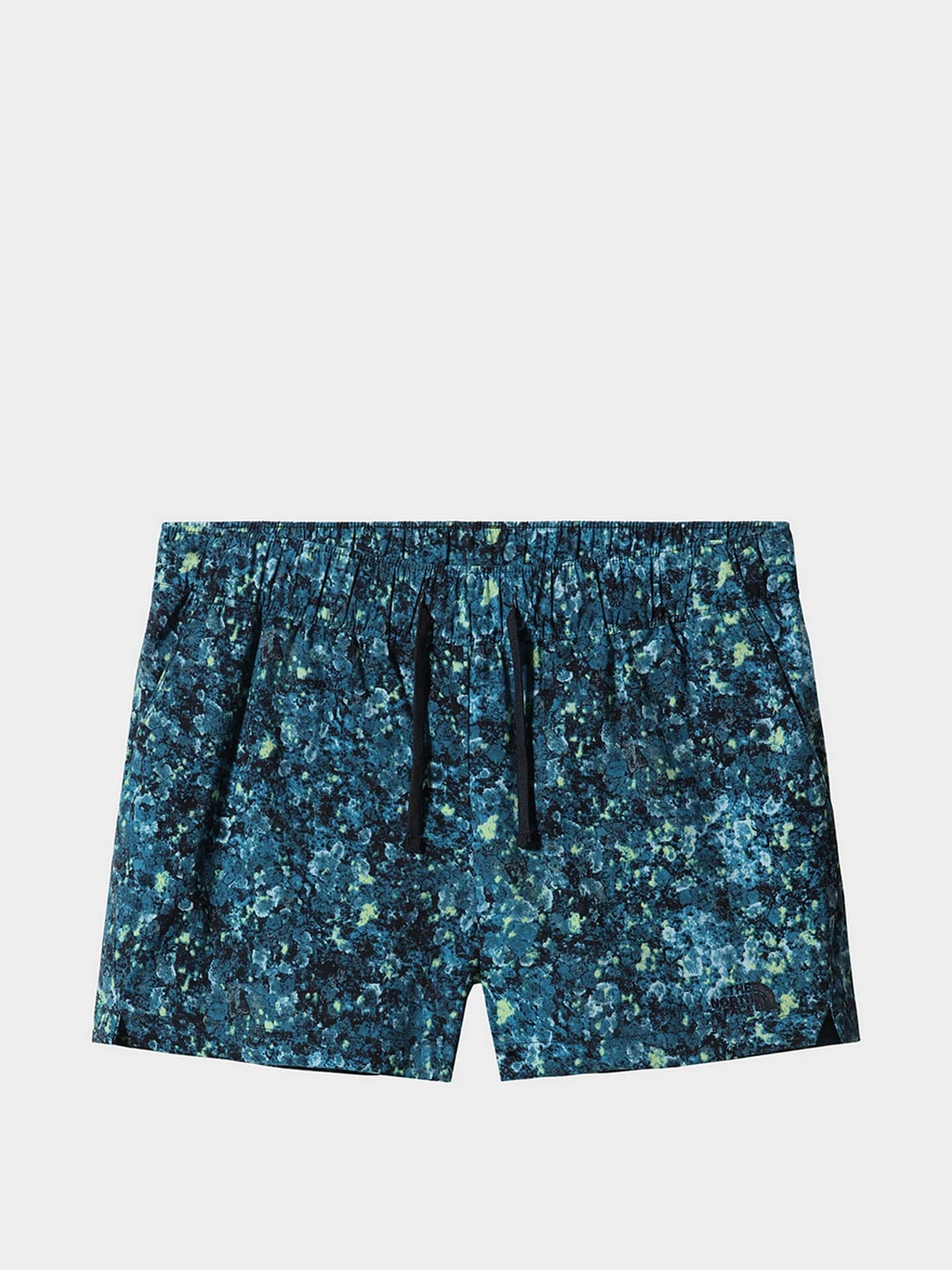 Шорты The North Face модель NF0A7QLS5401