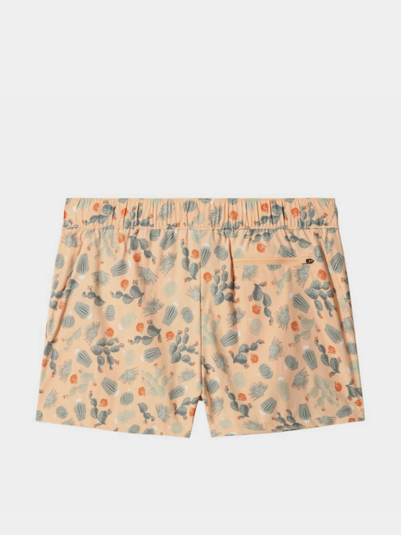 Шорты The North Face модель NF0A7QLS5M11