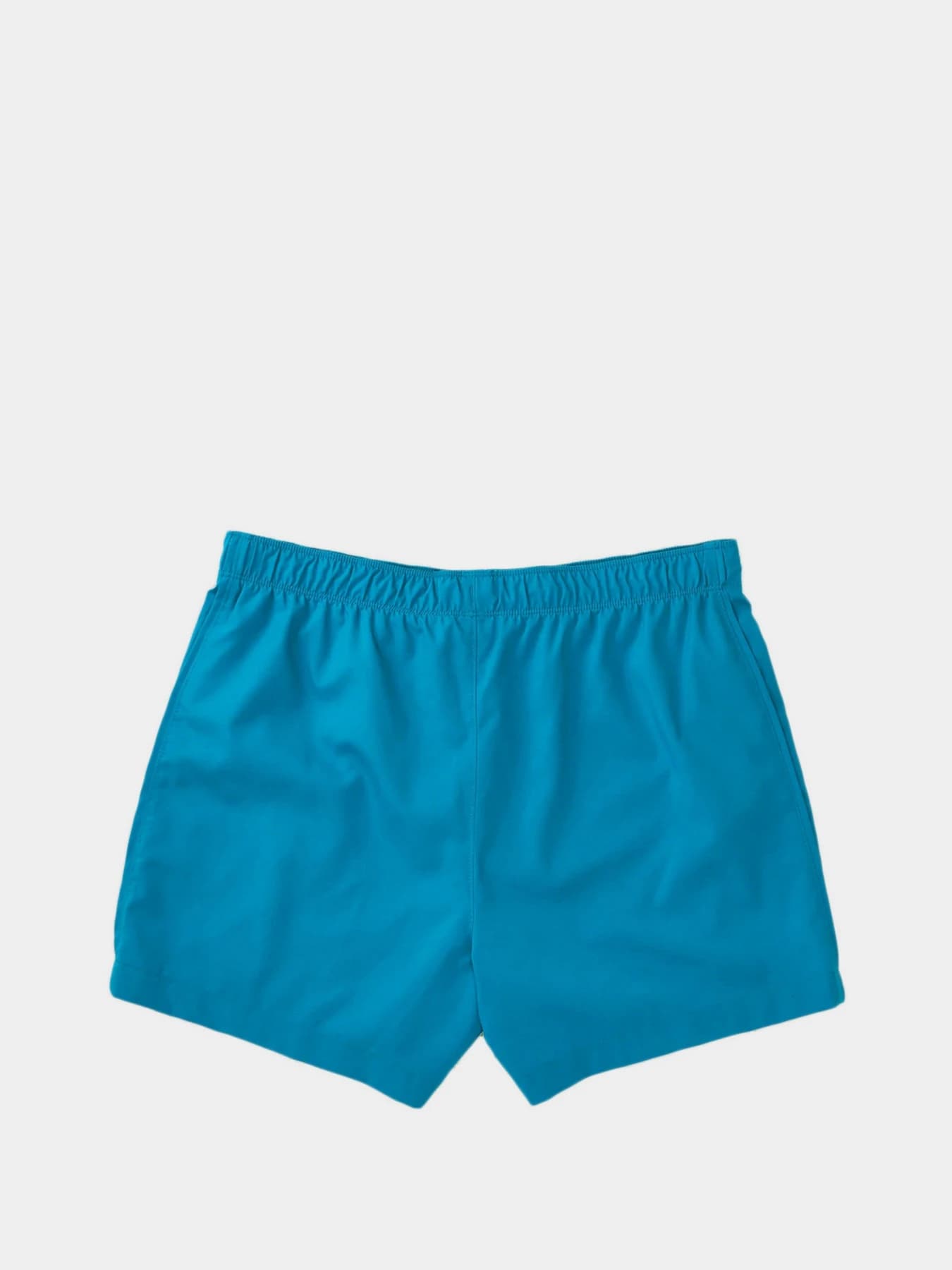 Шорты The North Face модель NF0A7UIKM191
