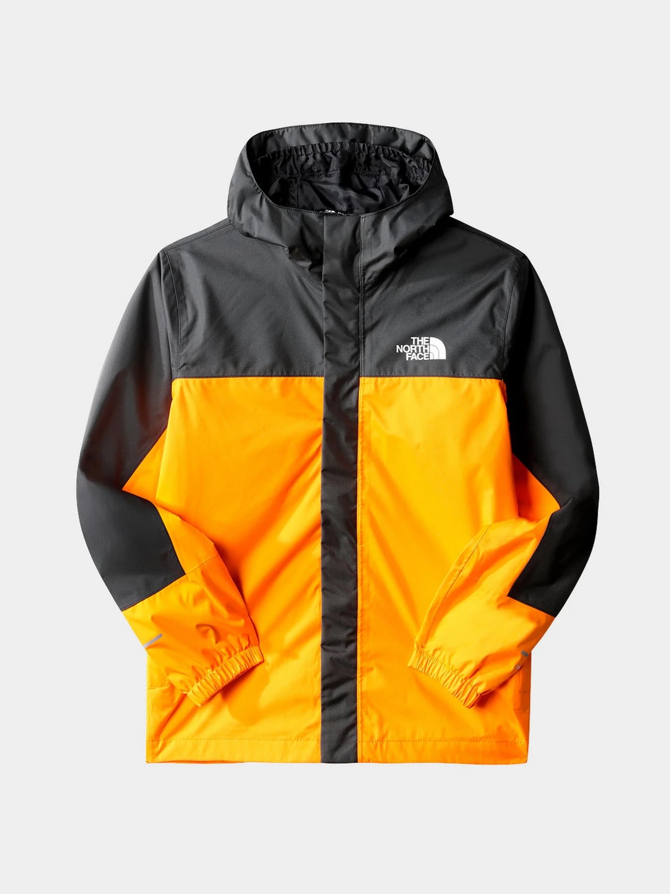 Пальто и плащи The North Face модель NF0A7WQC78M1
