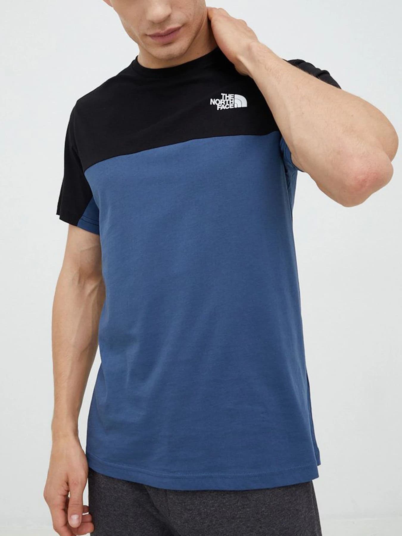 Футболки и поло The North Face модель NF0A7X21HDC1