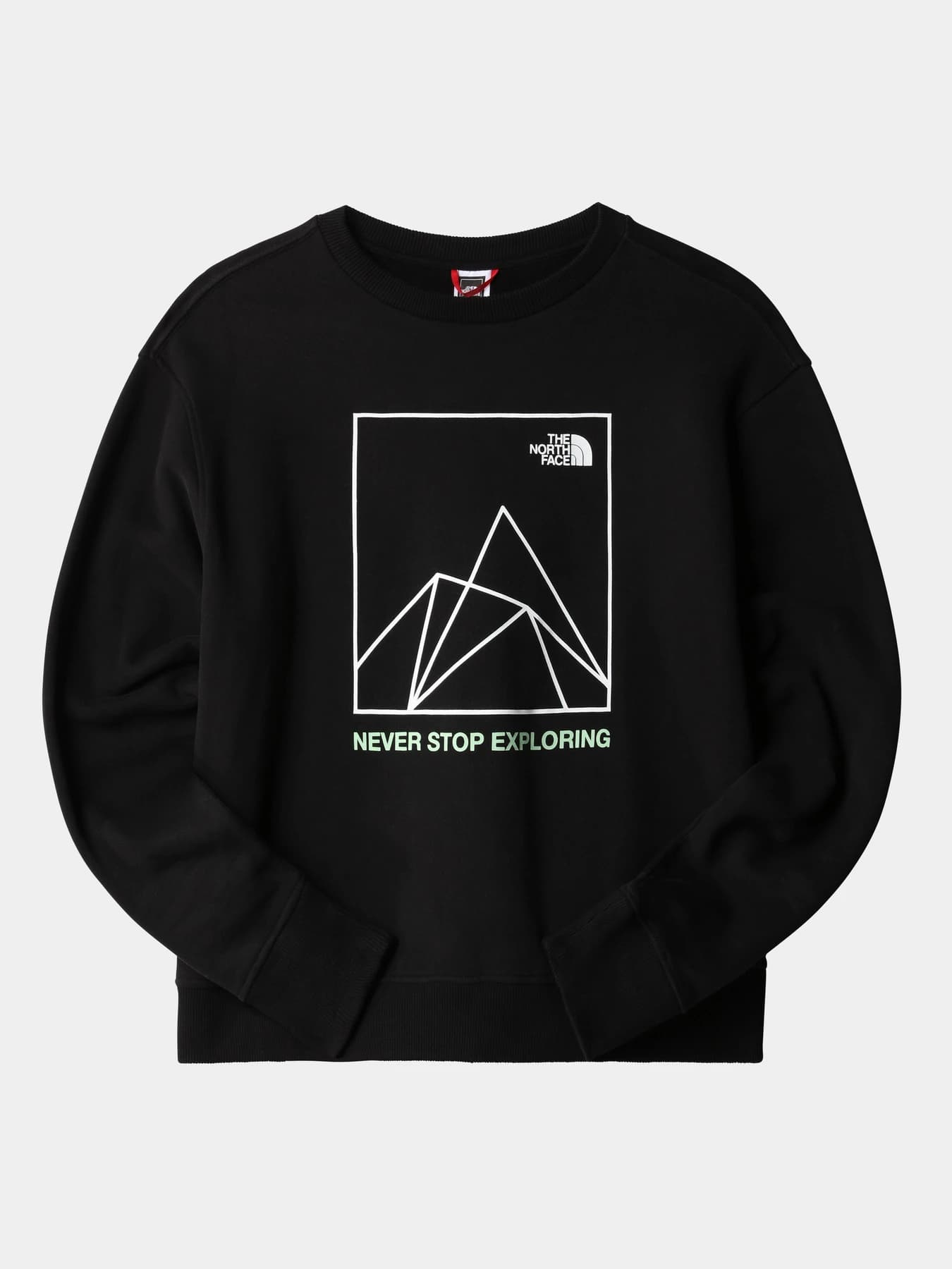 Худи и свитшоты The North Face модель NF0A7X2FI331