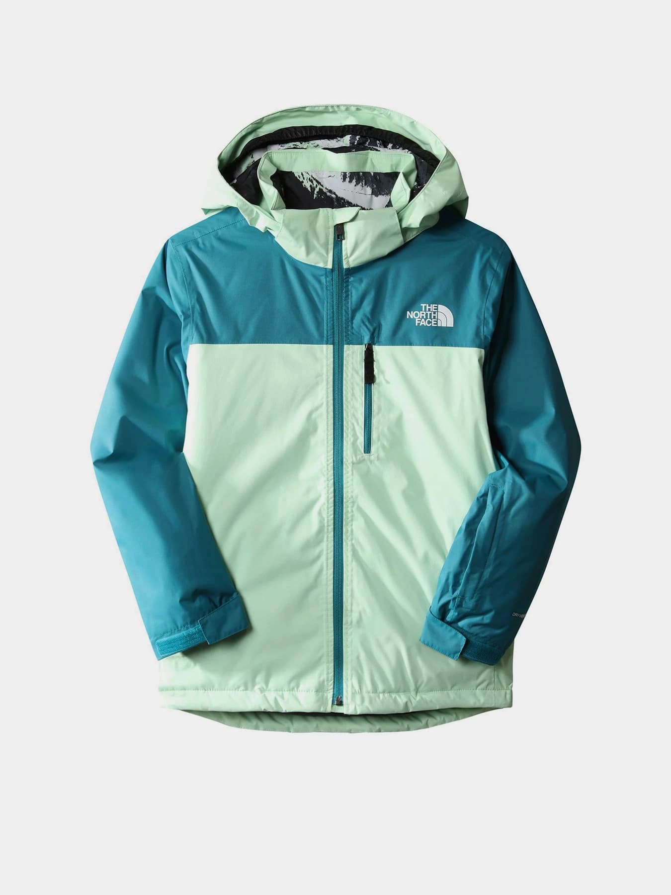 Куртки и дубленки The North Face модель NF0A7X3O6S01