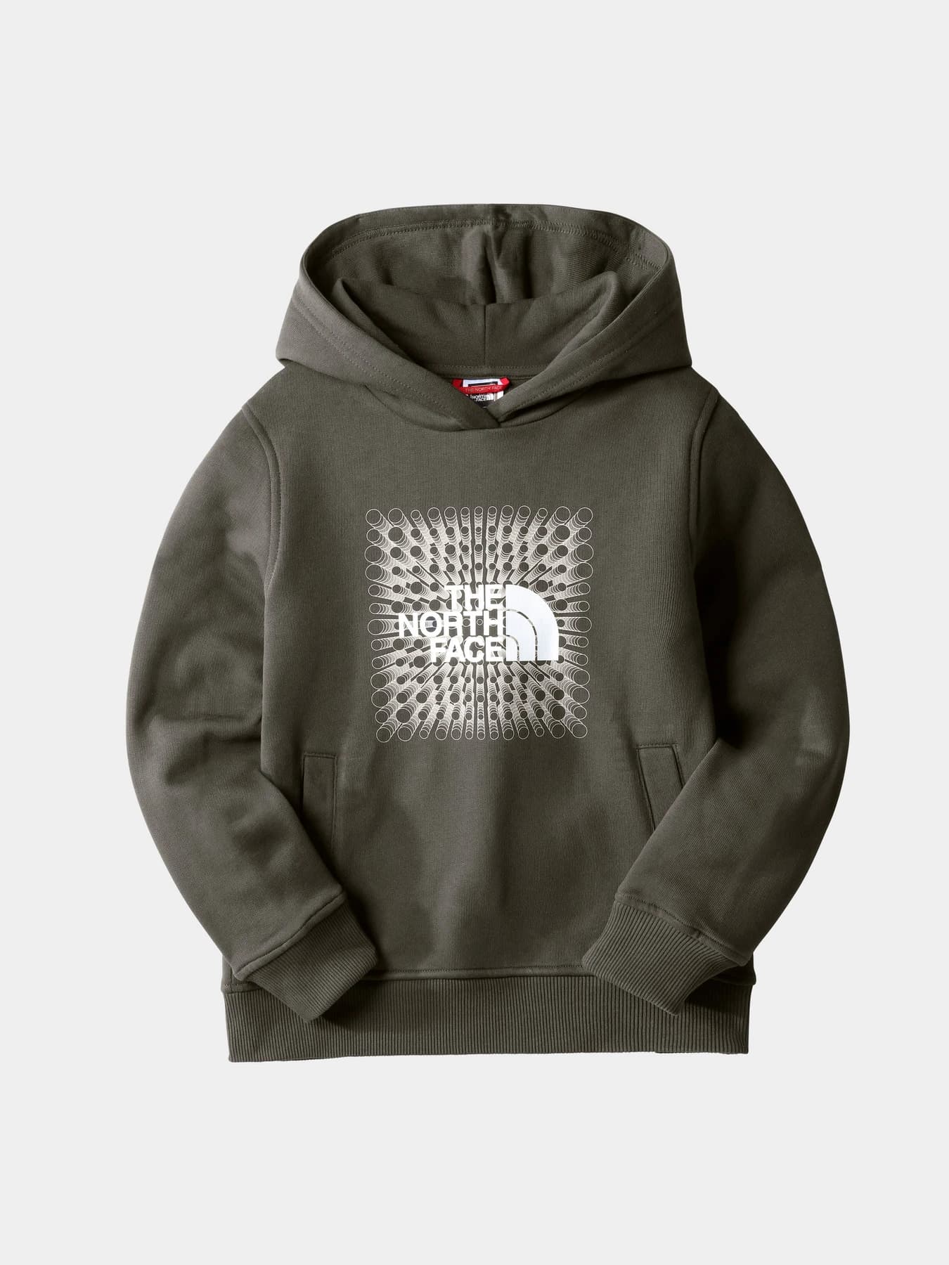 Худи и свитшоты The North Face модель NF0A7X5621L1