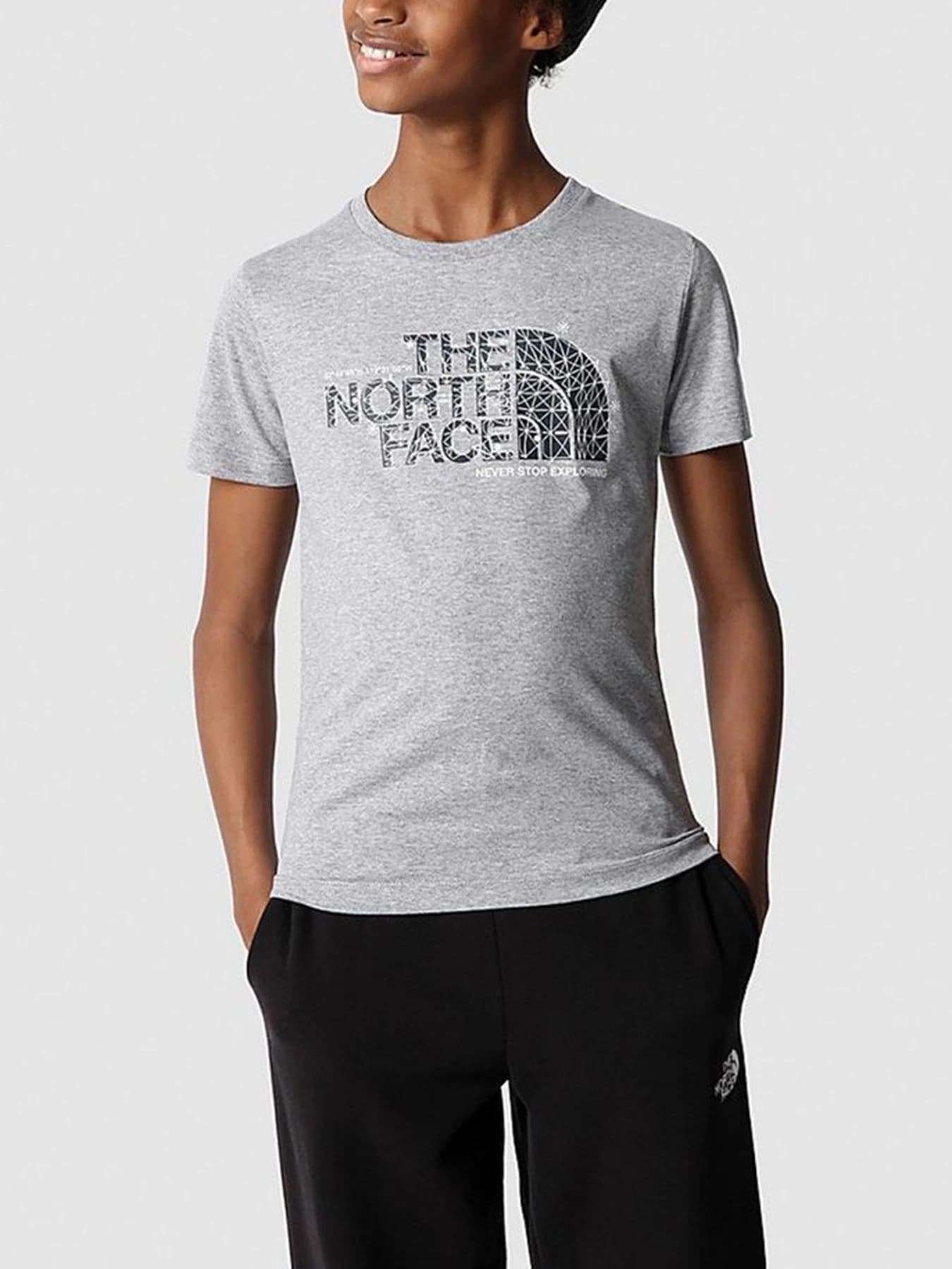 Футболки и поло The North Face модель NF0A7X5BDYX1