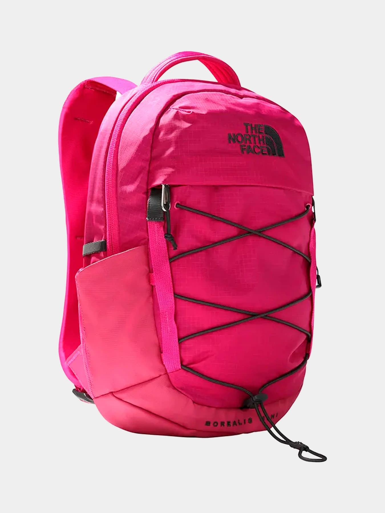 Рюкзаки The North Face модель NF0A52SWHY31