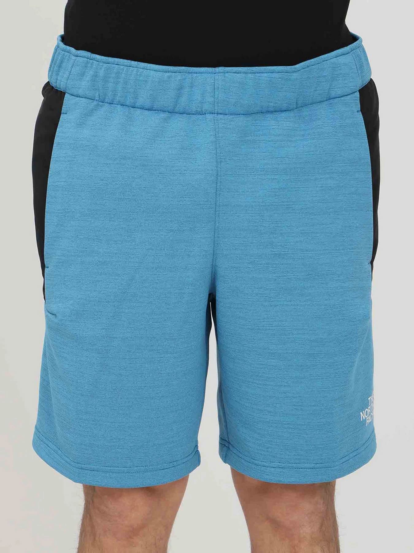 Шорты The North Face модель NF0A5IEX5V91