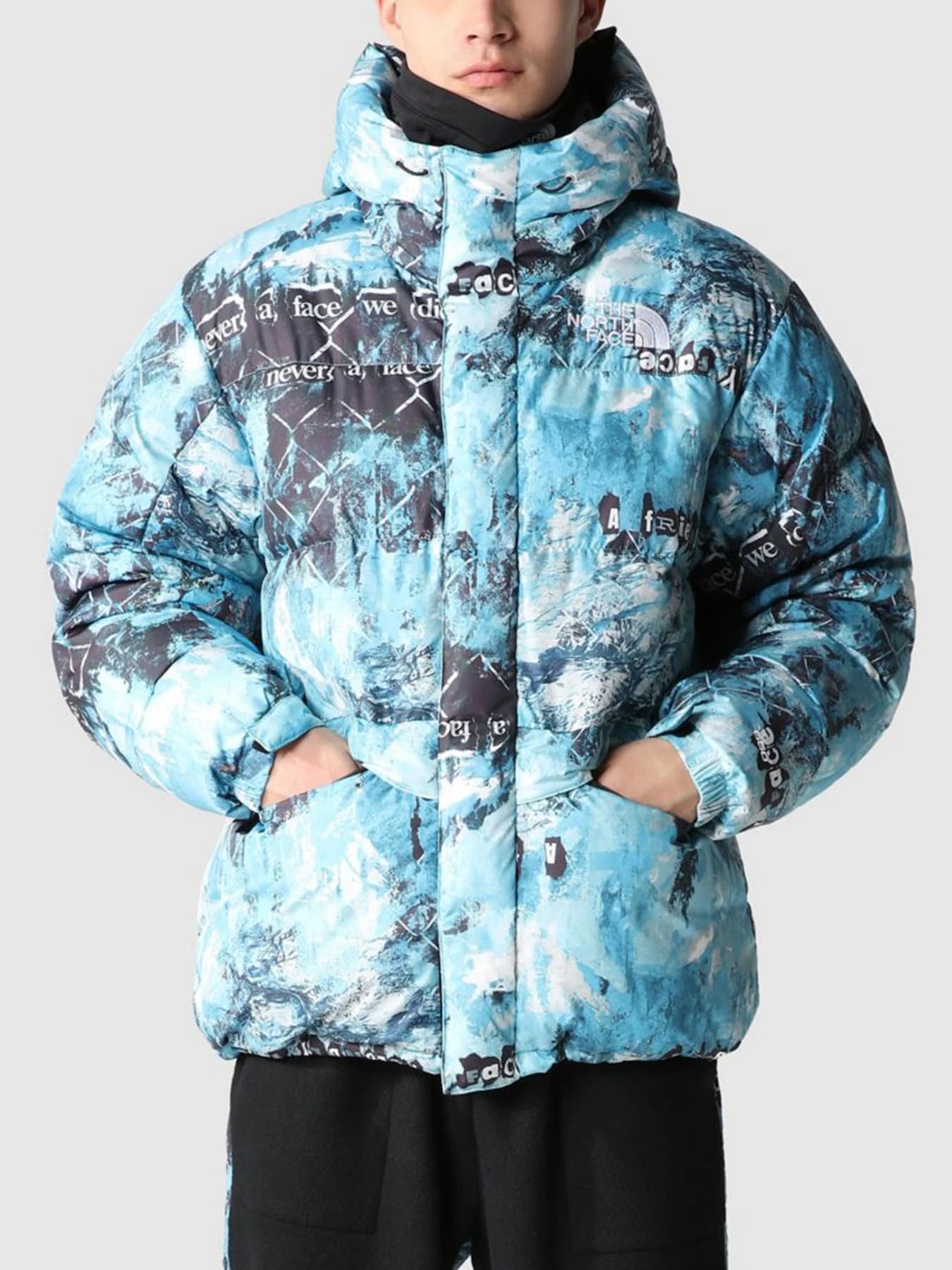 Куртки и дубленки The North Face модель NF0A5J1J9C11