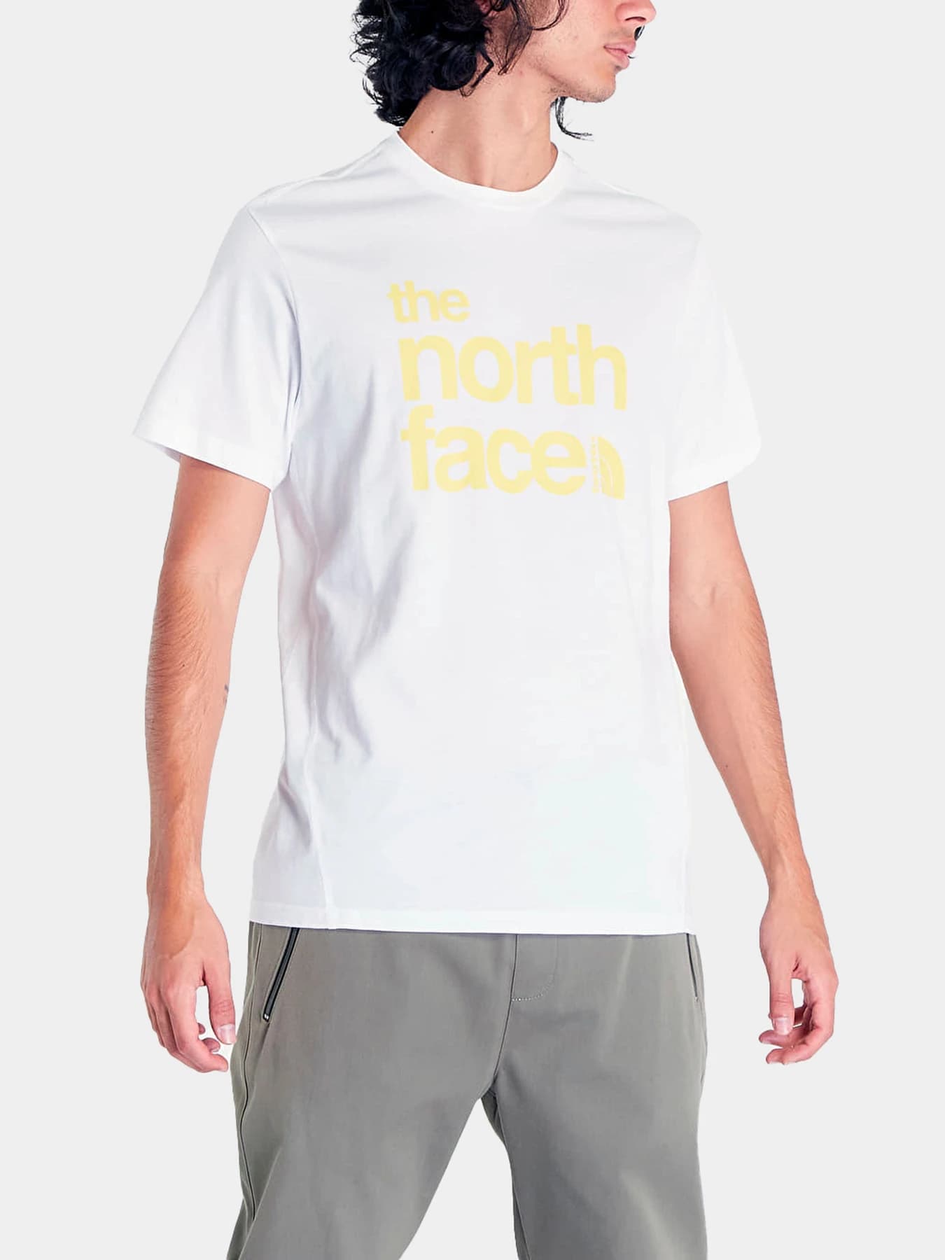Футболки и поло The North Face модель NF0A7X2IFN41