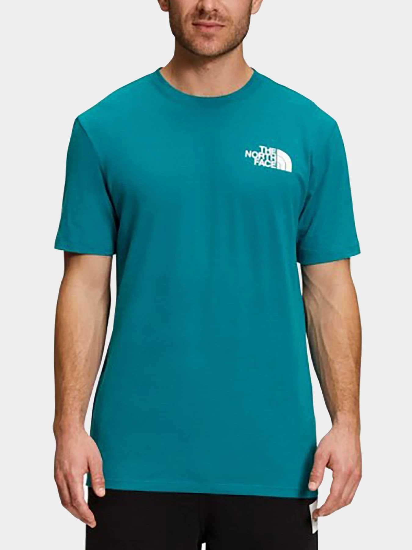 Футболки и поло The North Face модель NF0A2TX22W91
