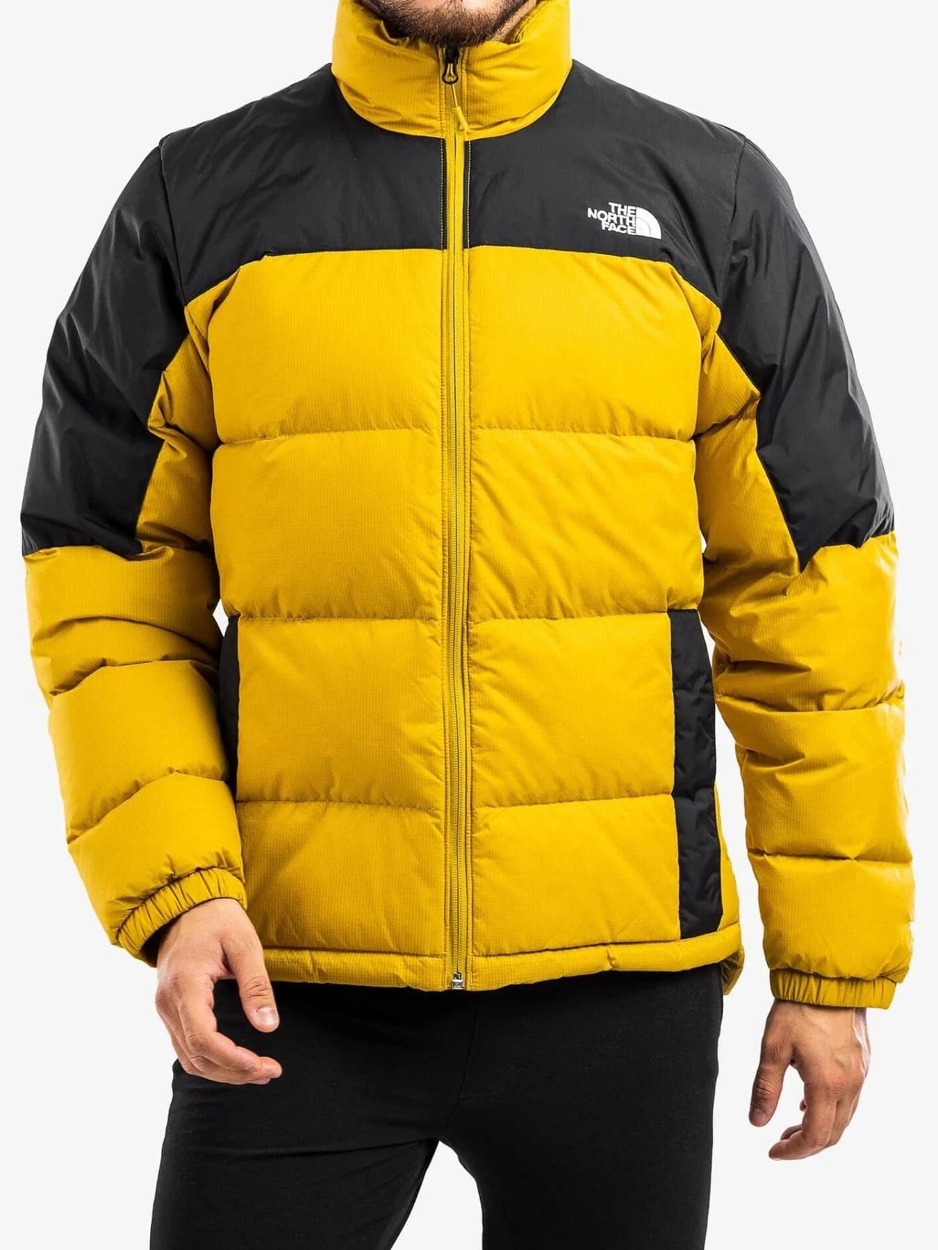 Куртки и дубленки The North Face модель NF0A4M9J81U1
