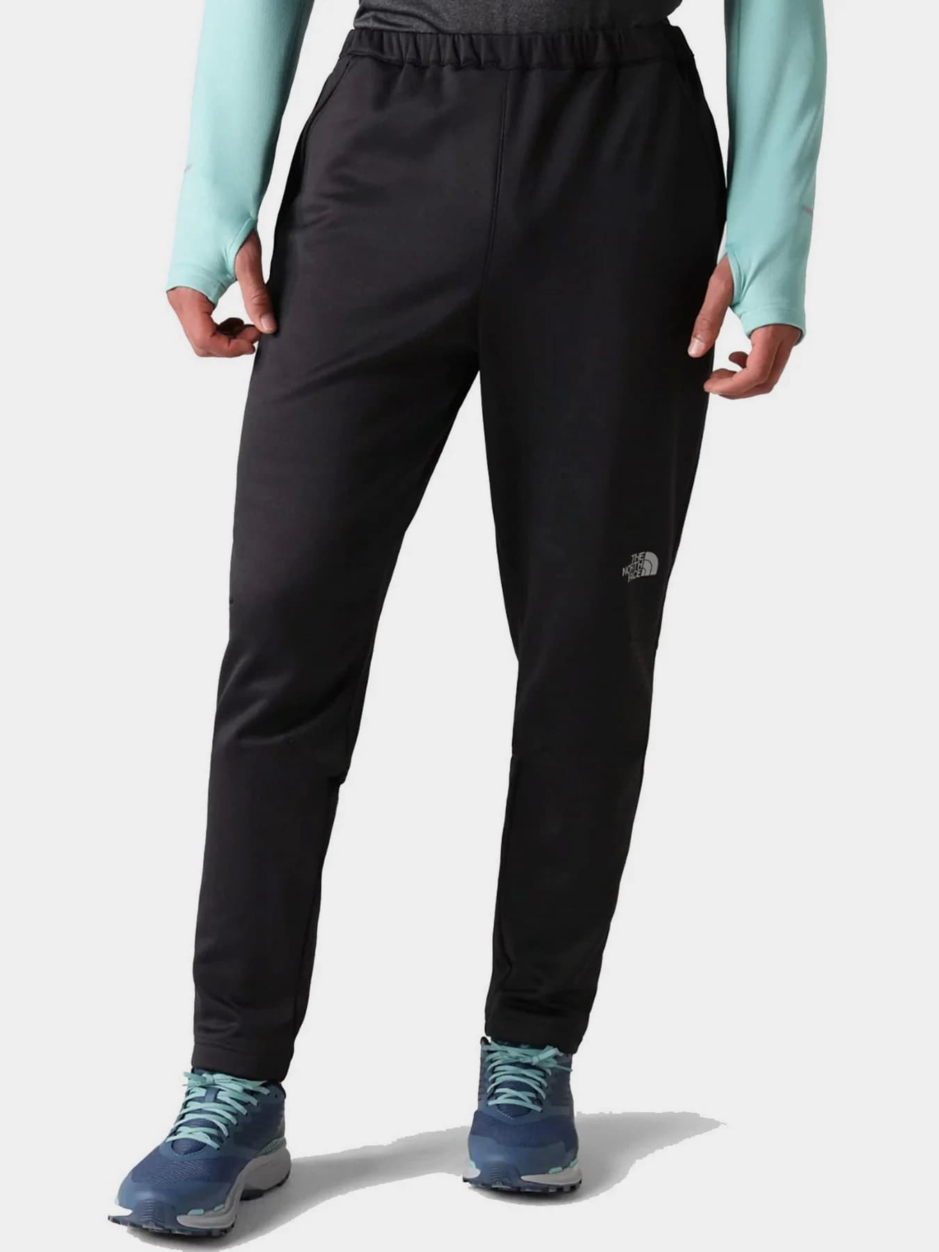 Брюки The North Face модель NF0A7SXOJK31