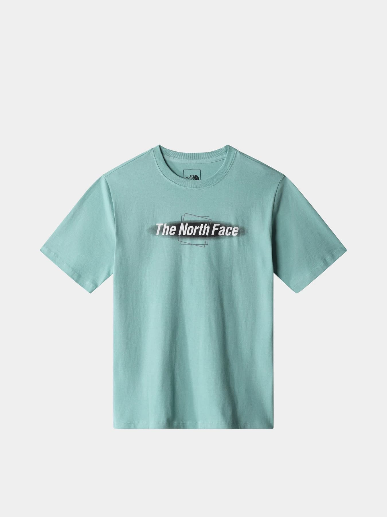 Футболки и поло The North Face модель NF0A7UOH8641