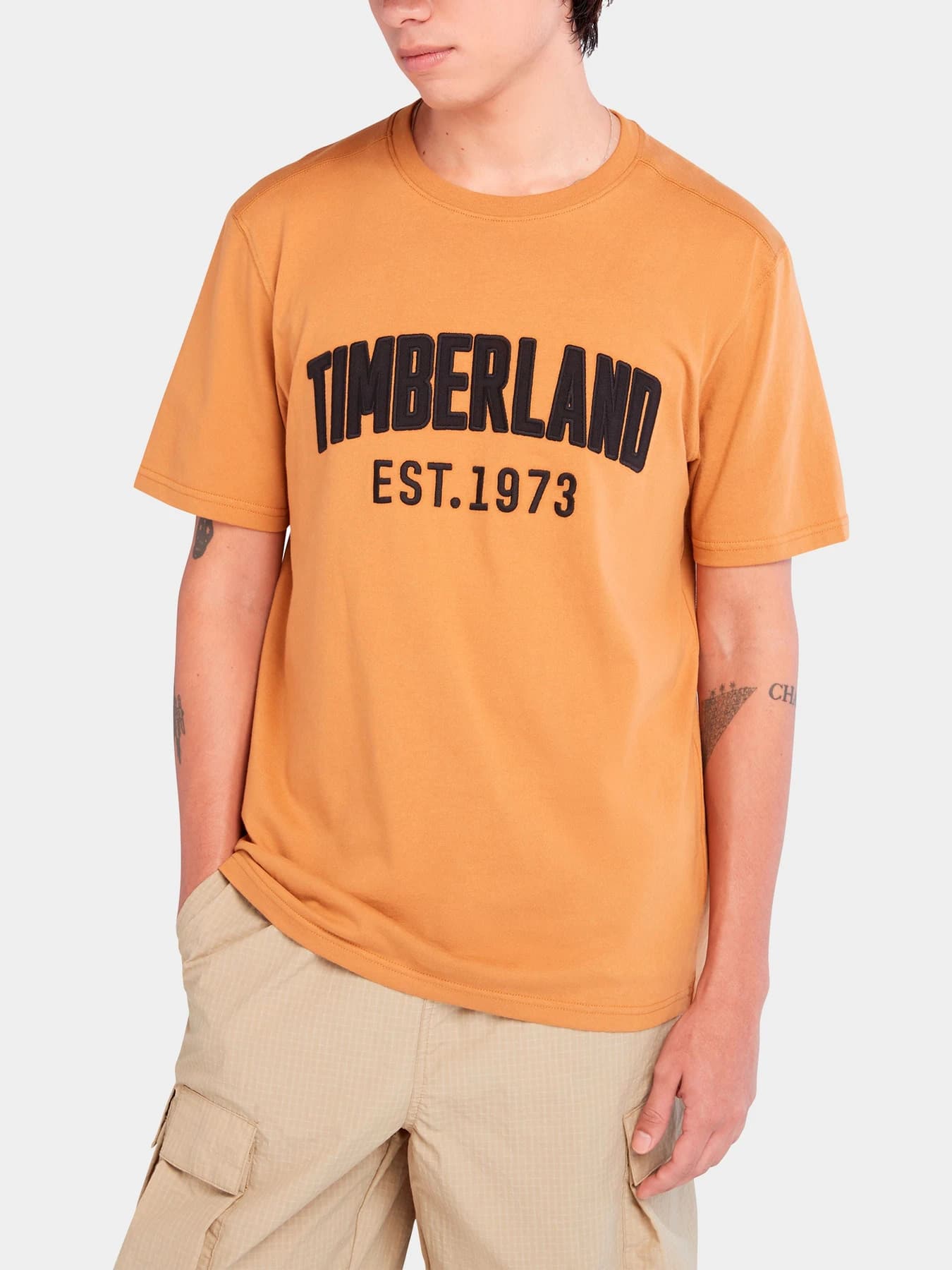 Футболки и поло Timberland модель TB0A6669P47