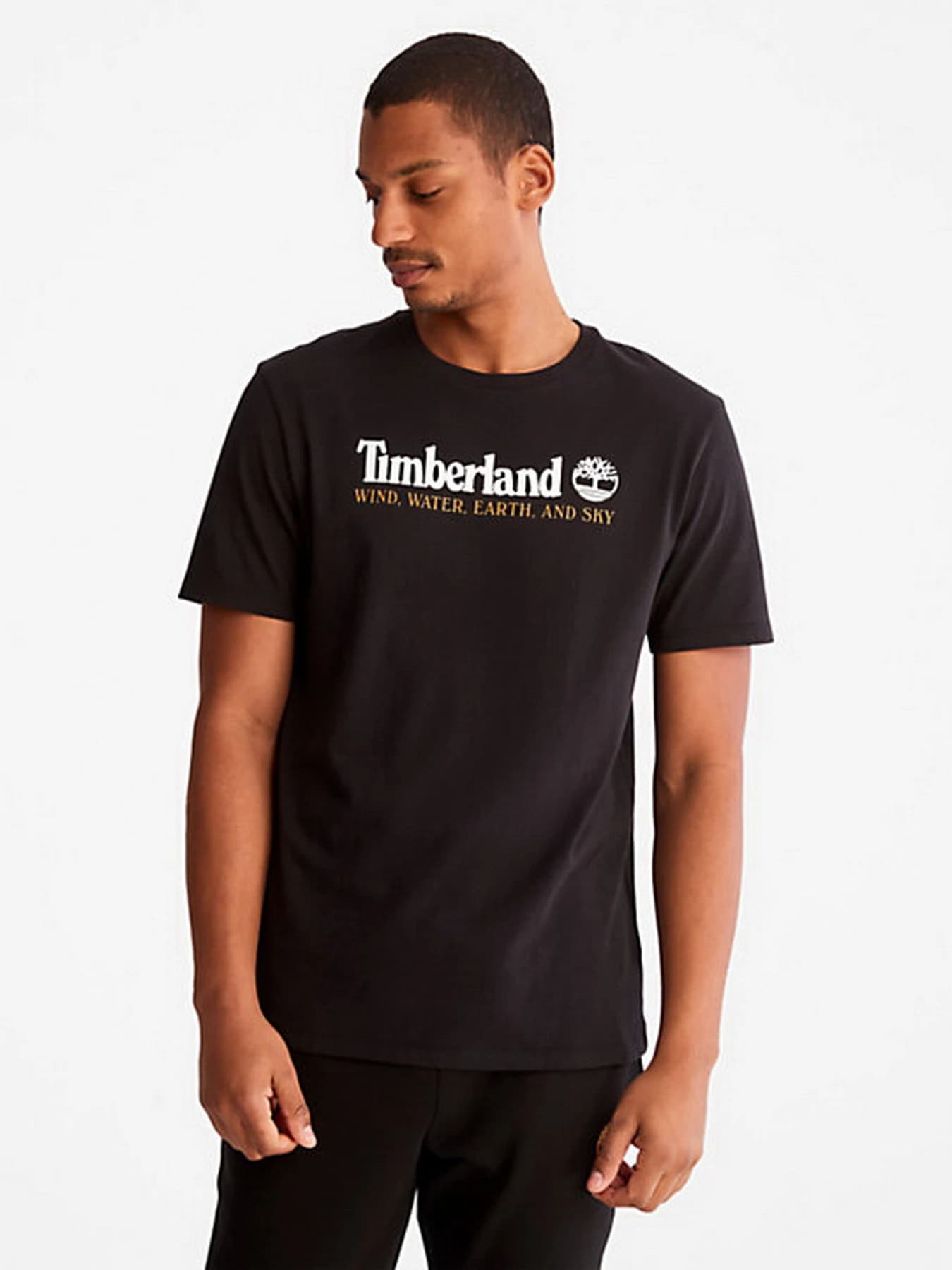 Футболки и поло Timberland модель TB0A27J8001