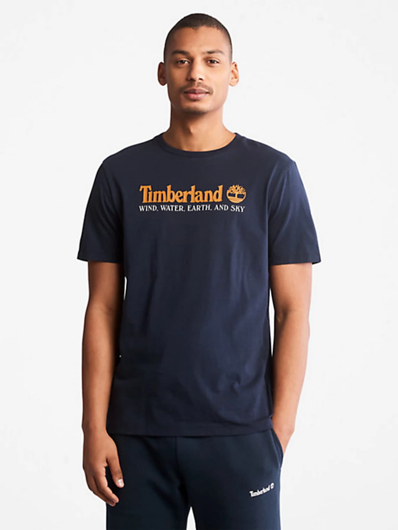 Футболки и поло Timberland модель TB0A27J8433