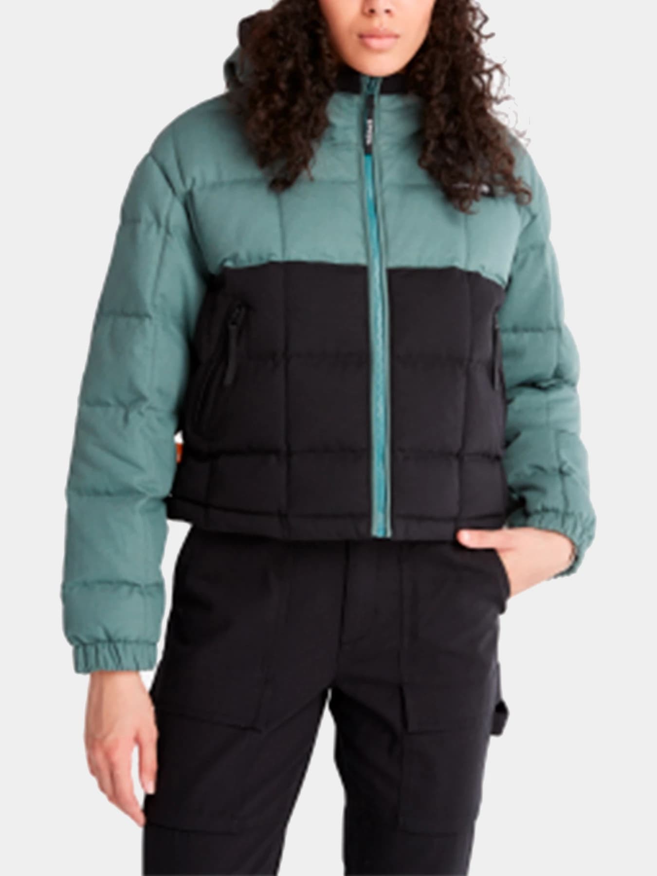 Куртки и дубленки Timberland модель TB0A5YTHDA9