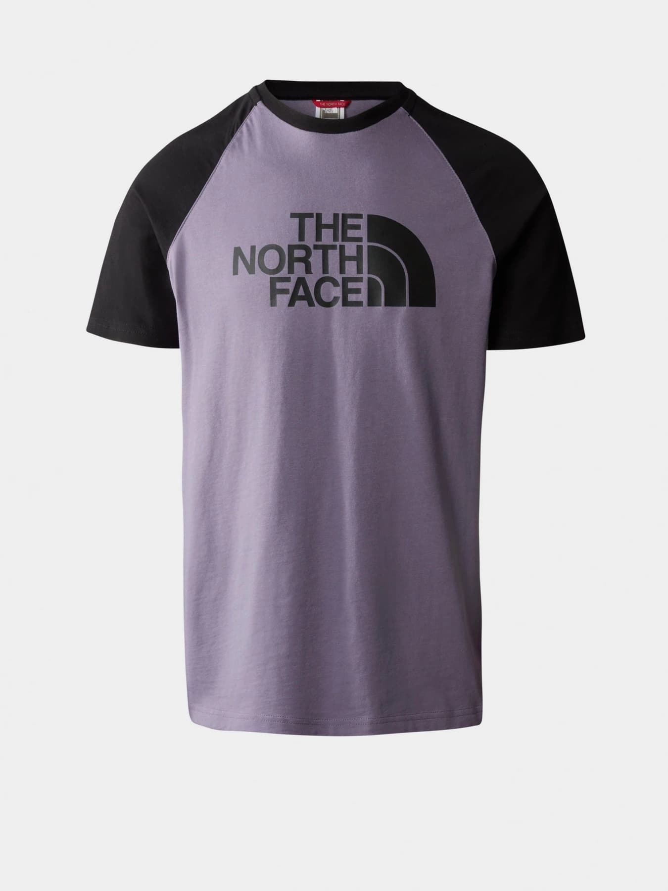 Футболки и поло The North Face модель NF0A37FVN141