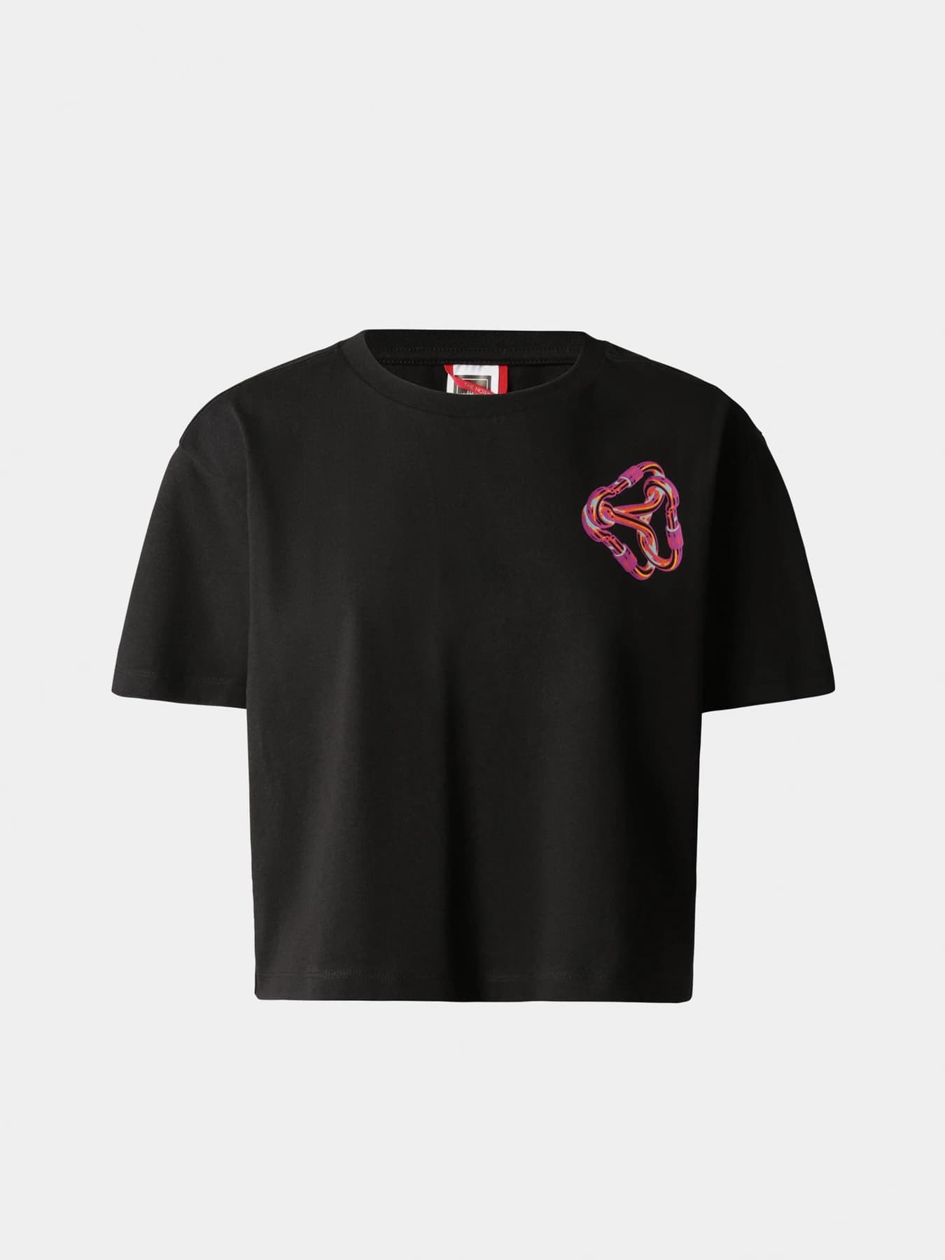 Футболки и поло The North Face модель NF0A823ZJK31