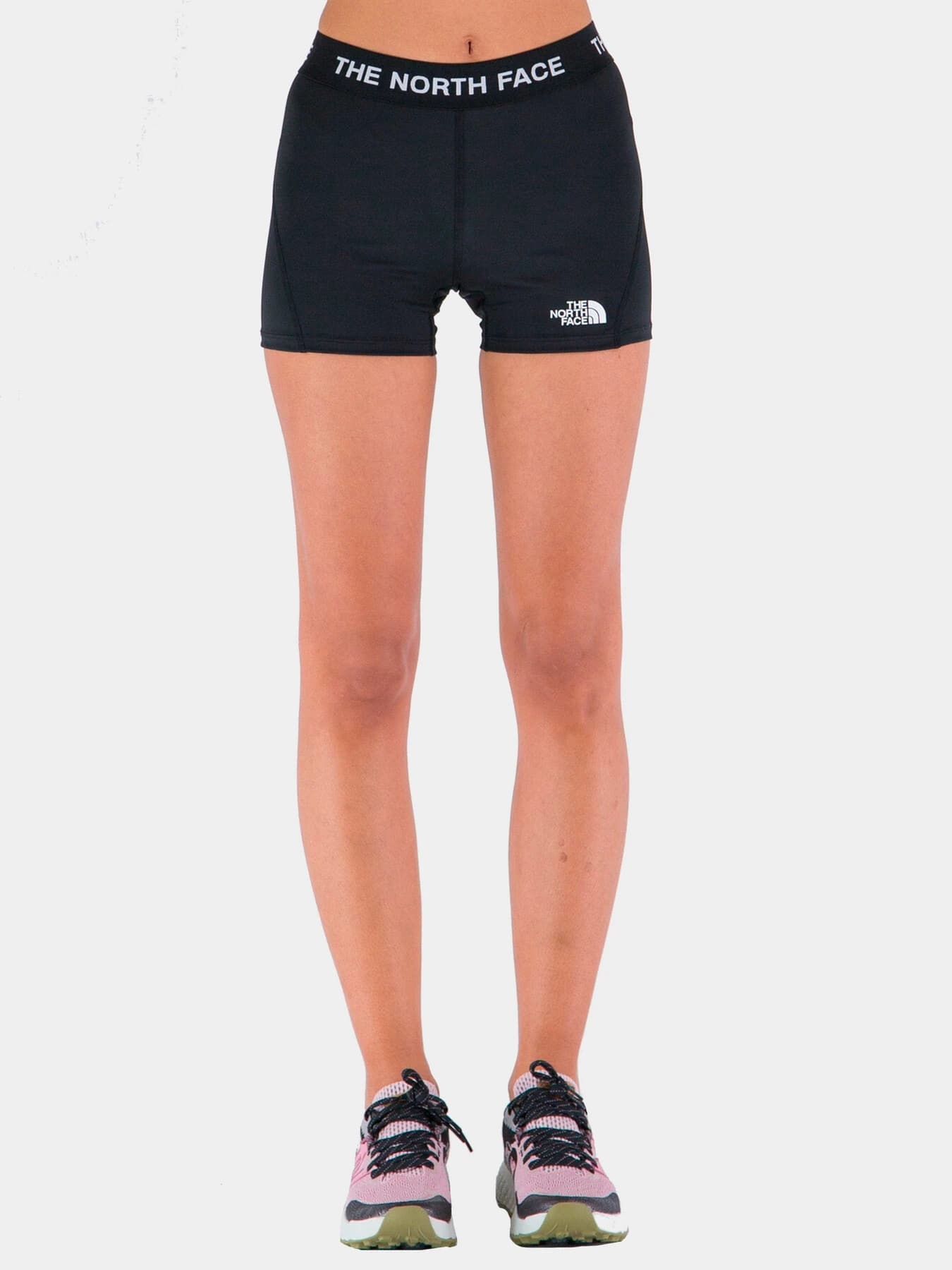 Шорты The North Face модель NF0A824NJK31