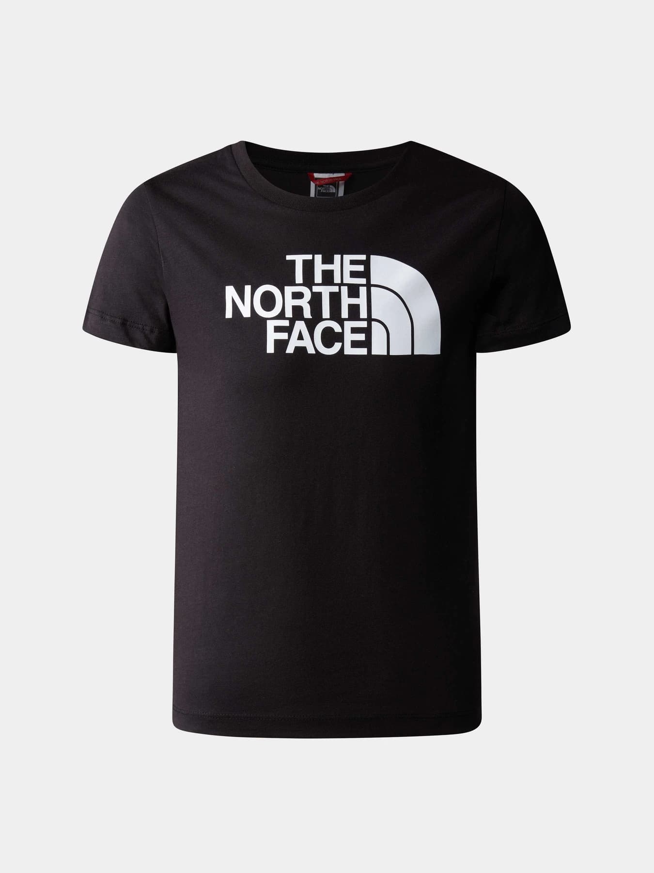 Футболки и поло The North Face модель NF0A82GHKY41