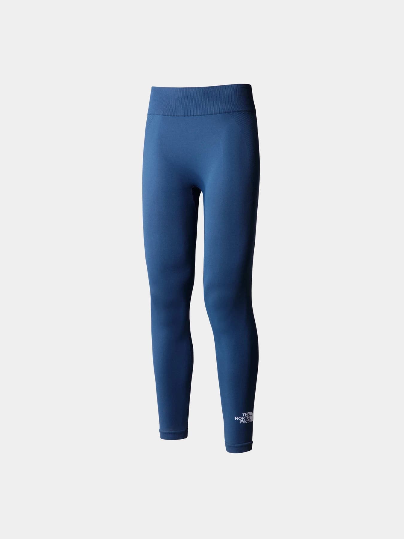 Брюки The North Face модель NF0A82GOHDC1