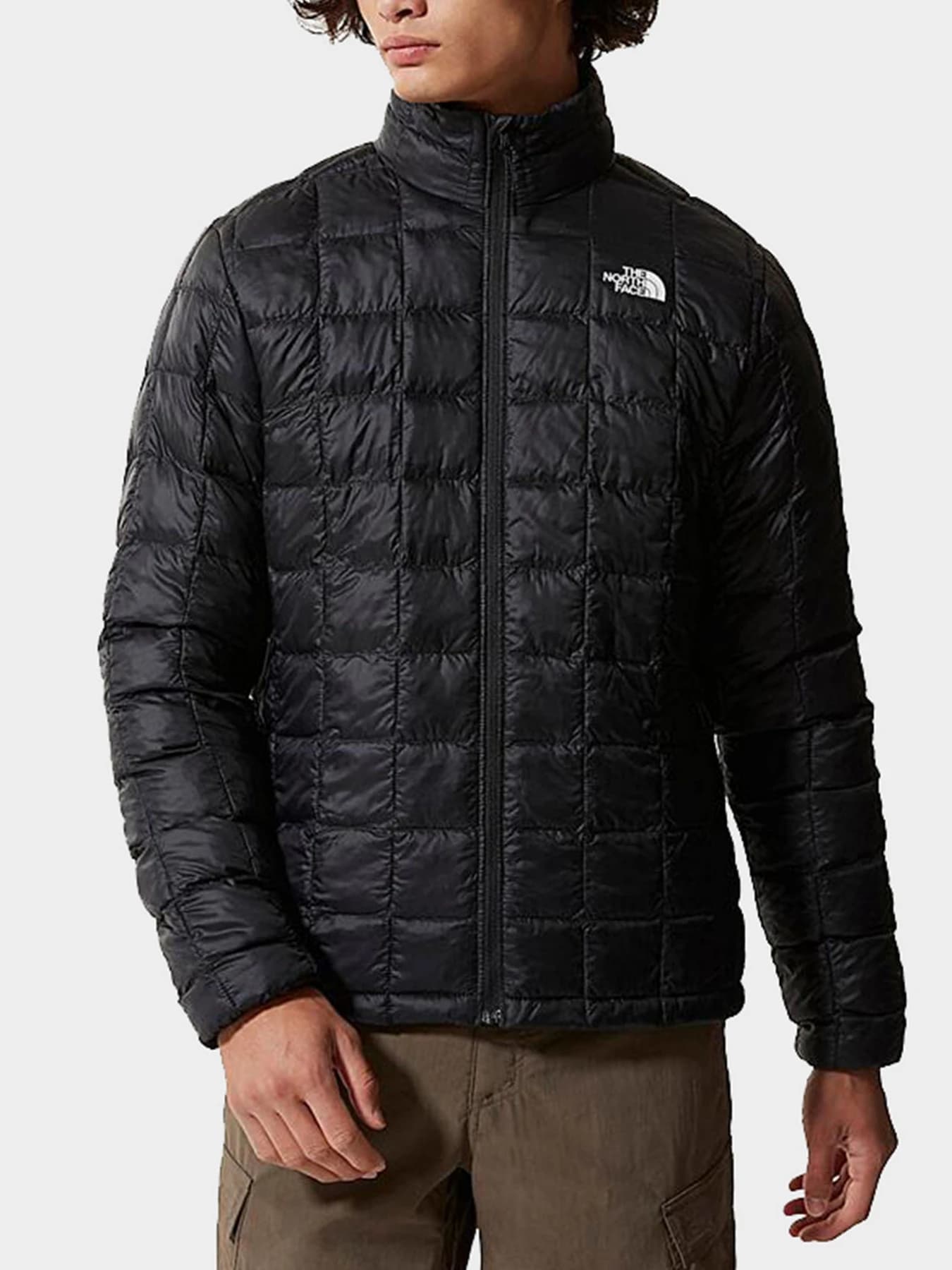 Куртки и дубленки The North Face модель NF0A5GLLJK31