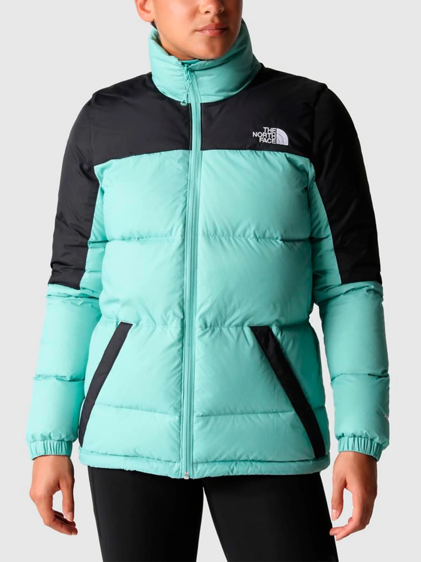 Куртки и дубленки The North Face модель NF0A4SVK8641
