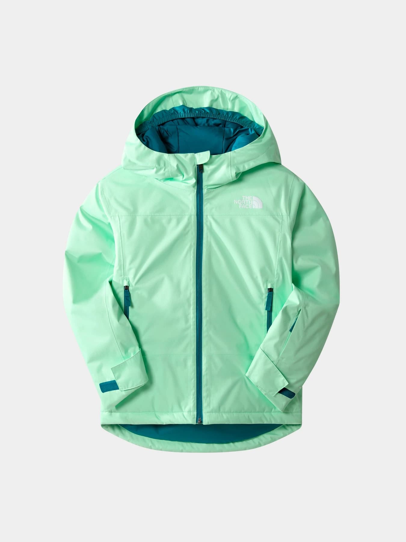 Куртки и дубленки The North Face модель NF0A7UN66S01
