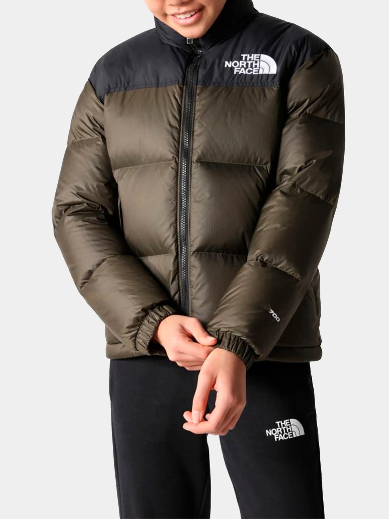 Куртки и дубленки The North Face модель NF0A7WQO21L1