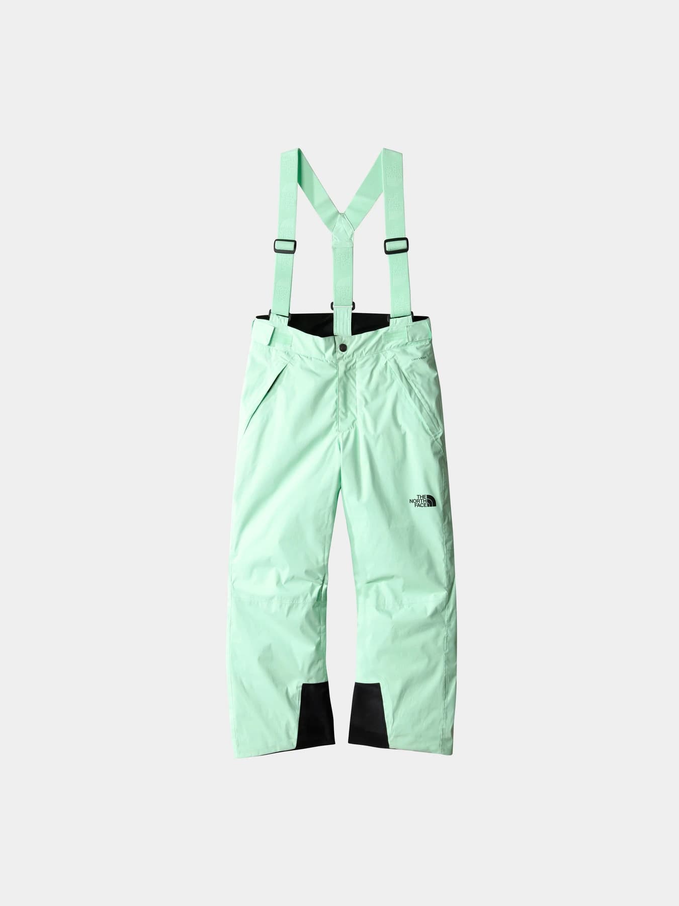 Брюки The North Face модель NF0A7X3P6S01