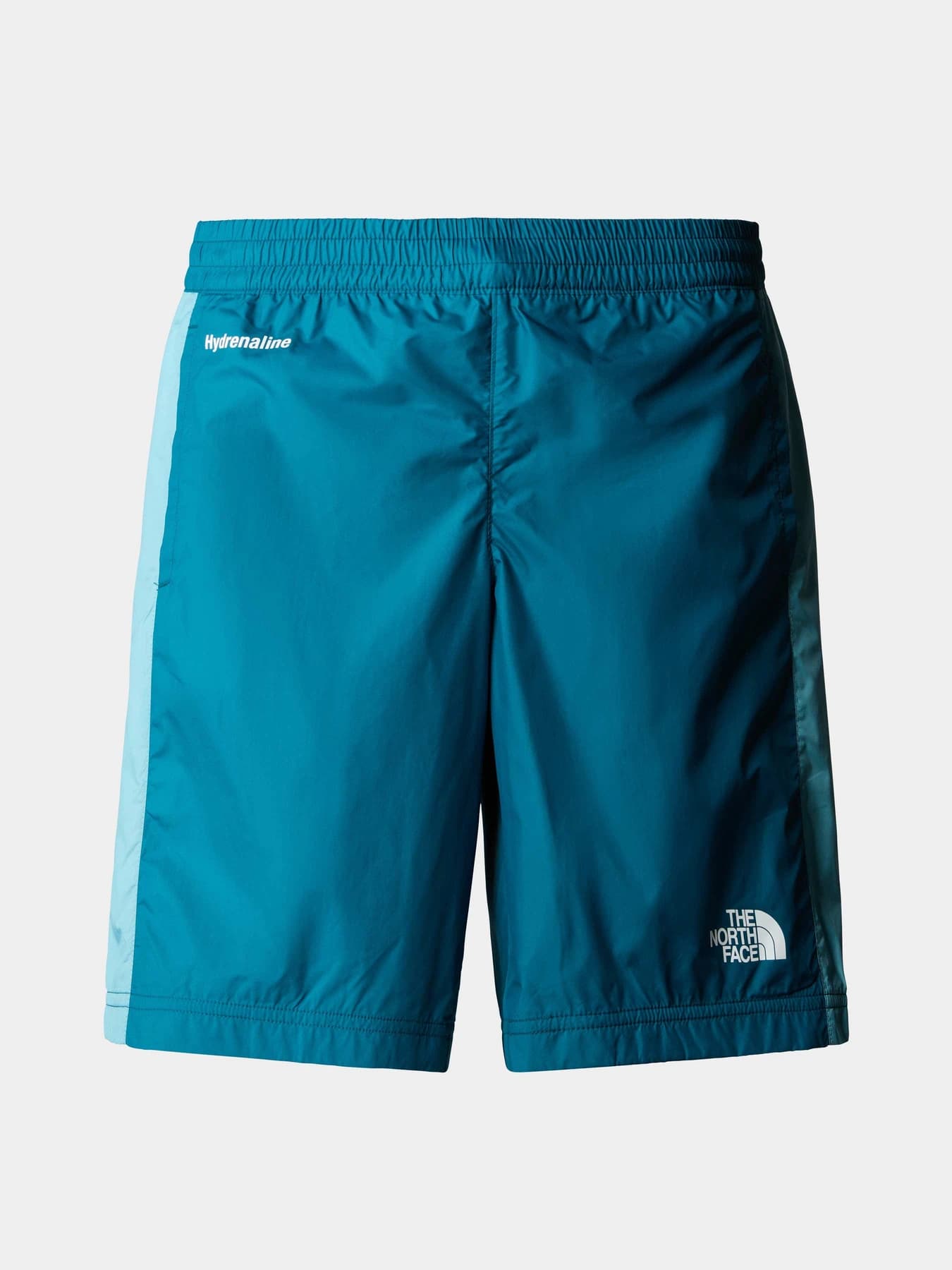 Шорты The North Face модель NF0A5J4JEFS1