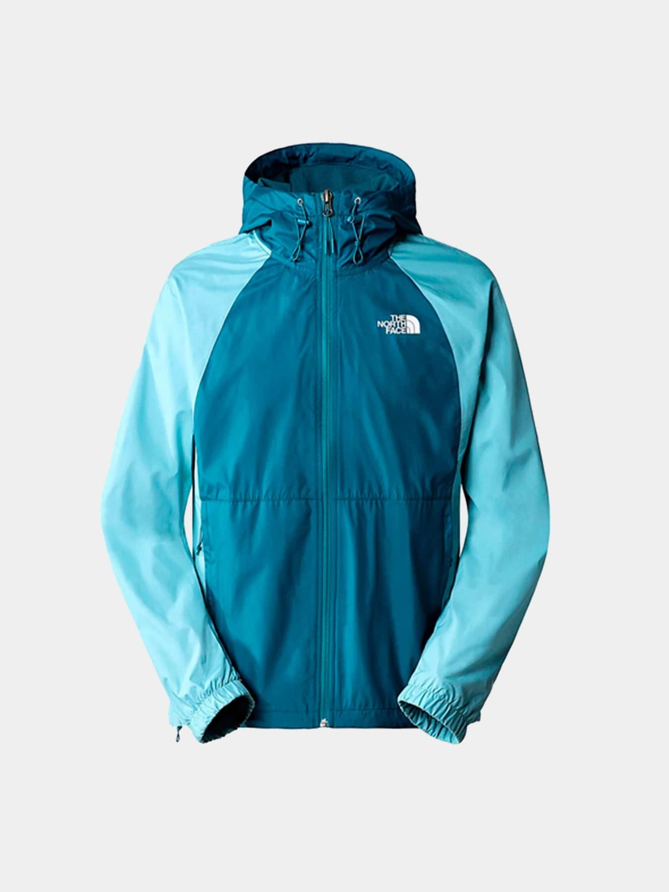Куртки и дубленки The North Face модель NF0A5J5GP6C1