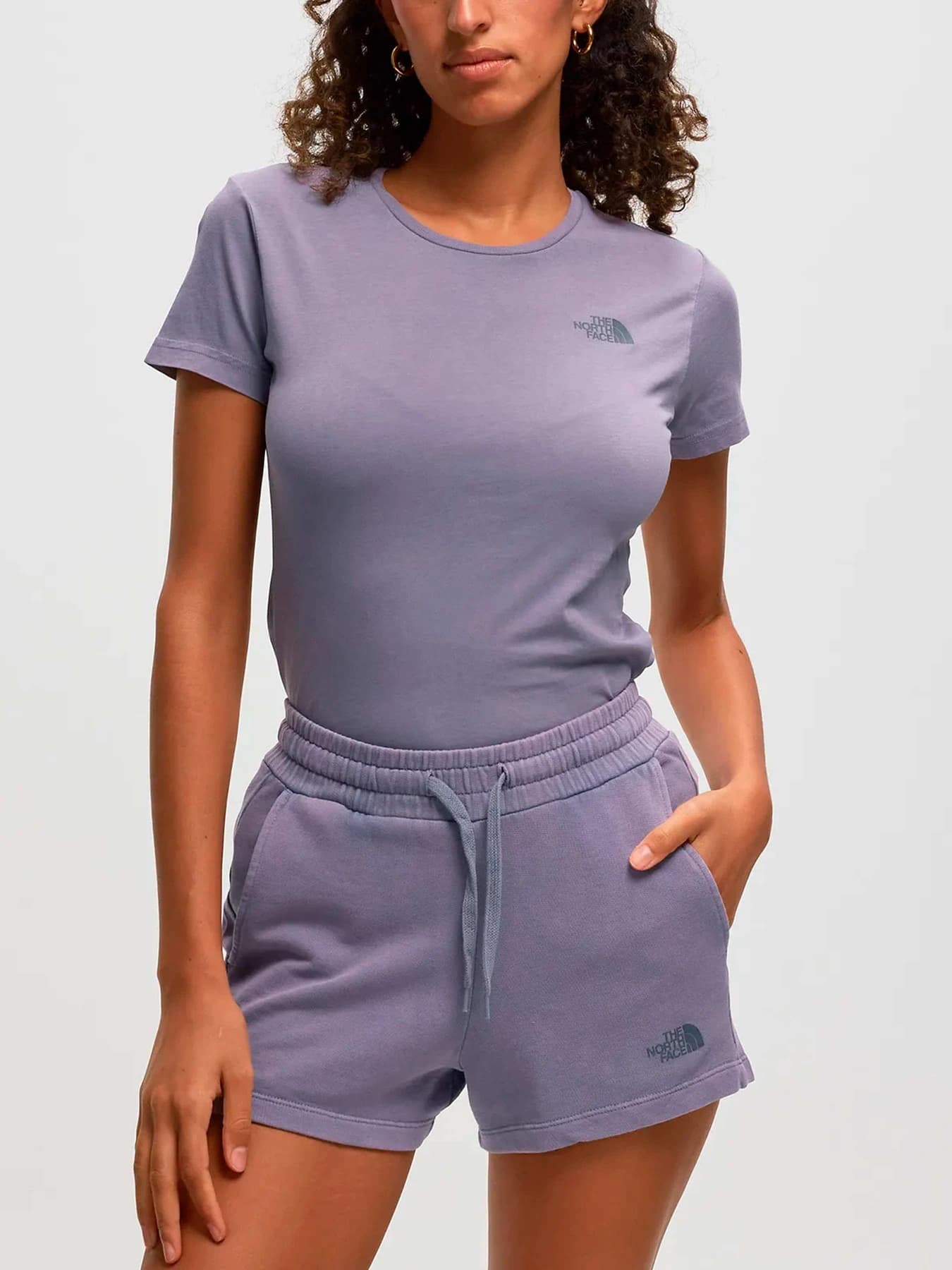 Футболки и поло The North Face модель NF0A826NN141